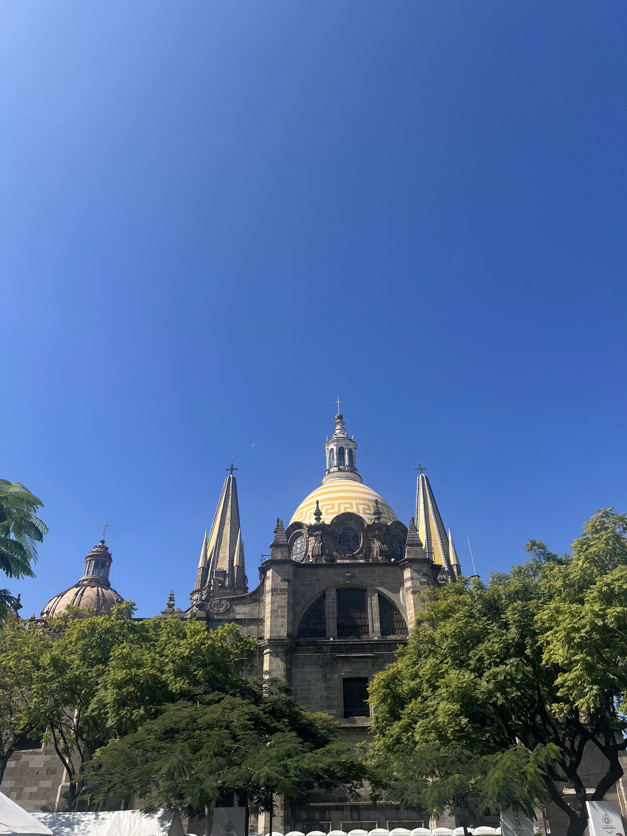  Mi vista después del maratón, 2024. 