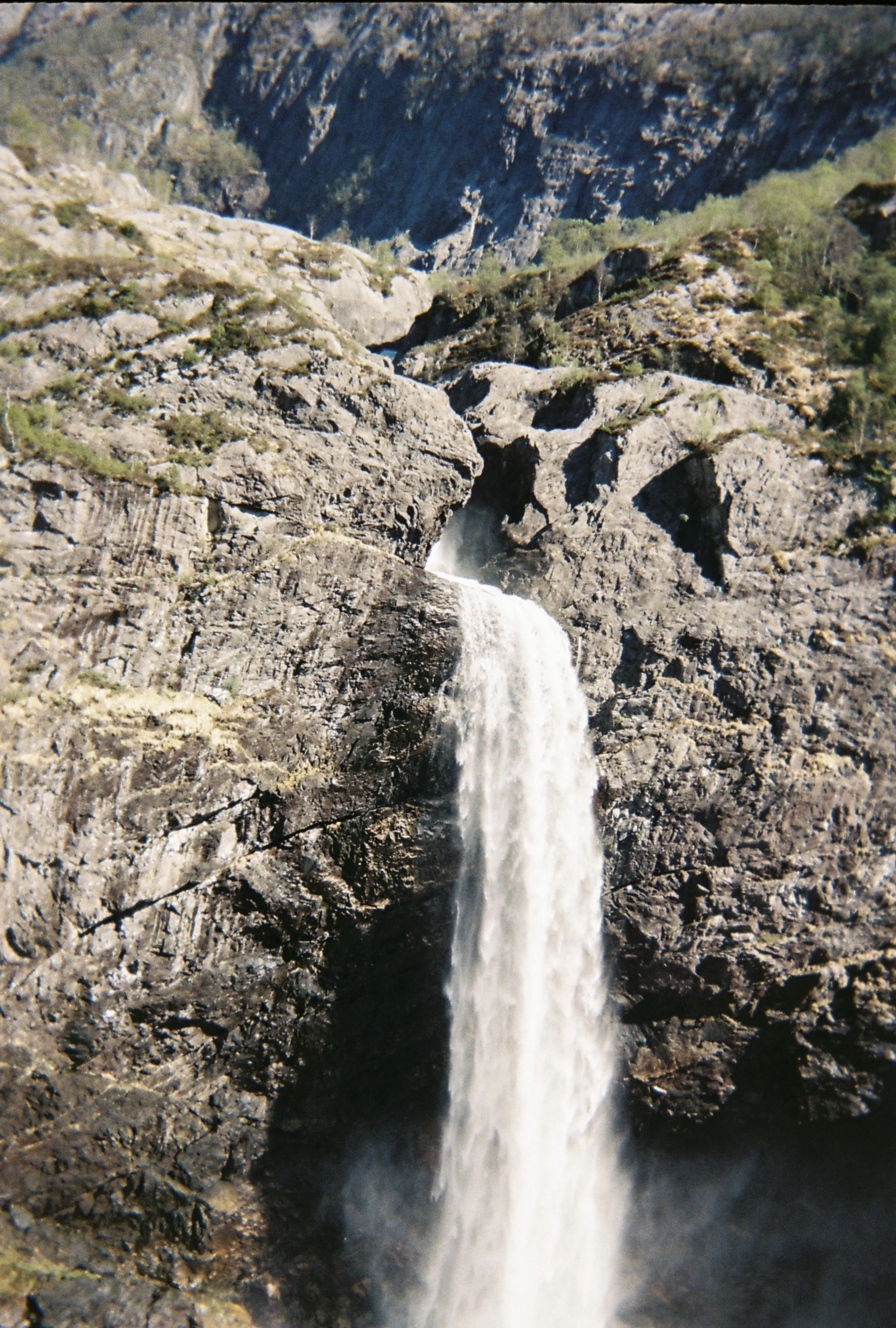 IMG_7971.jpeg