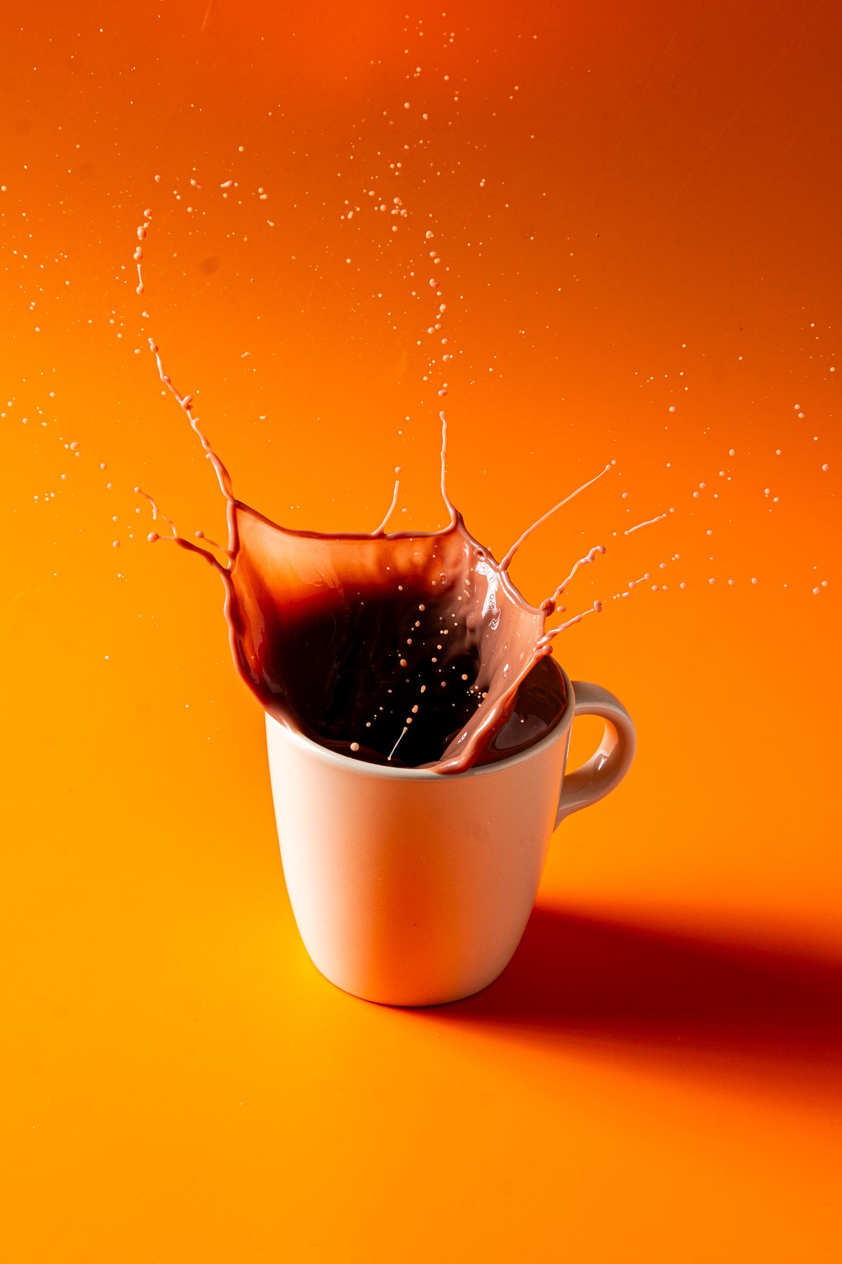 2025_02-17_SPLASH-12.jpg