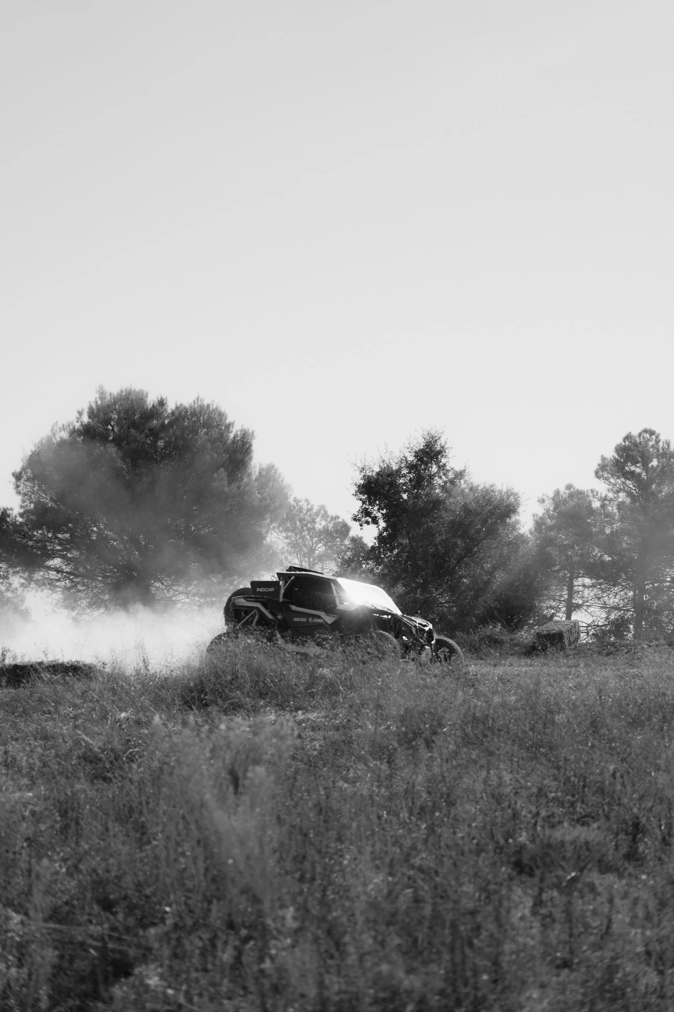 Nasser-87.jpg