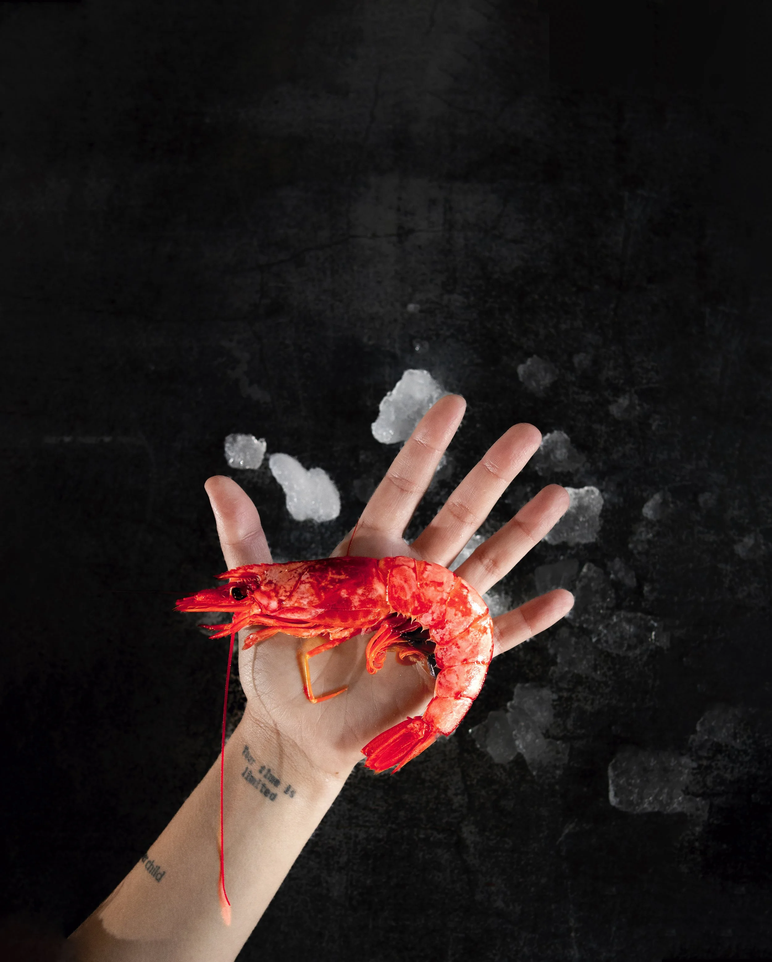 PORTADA-2.jpg