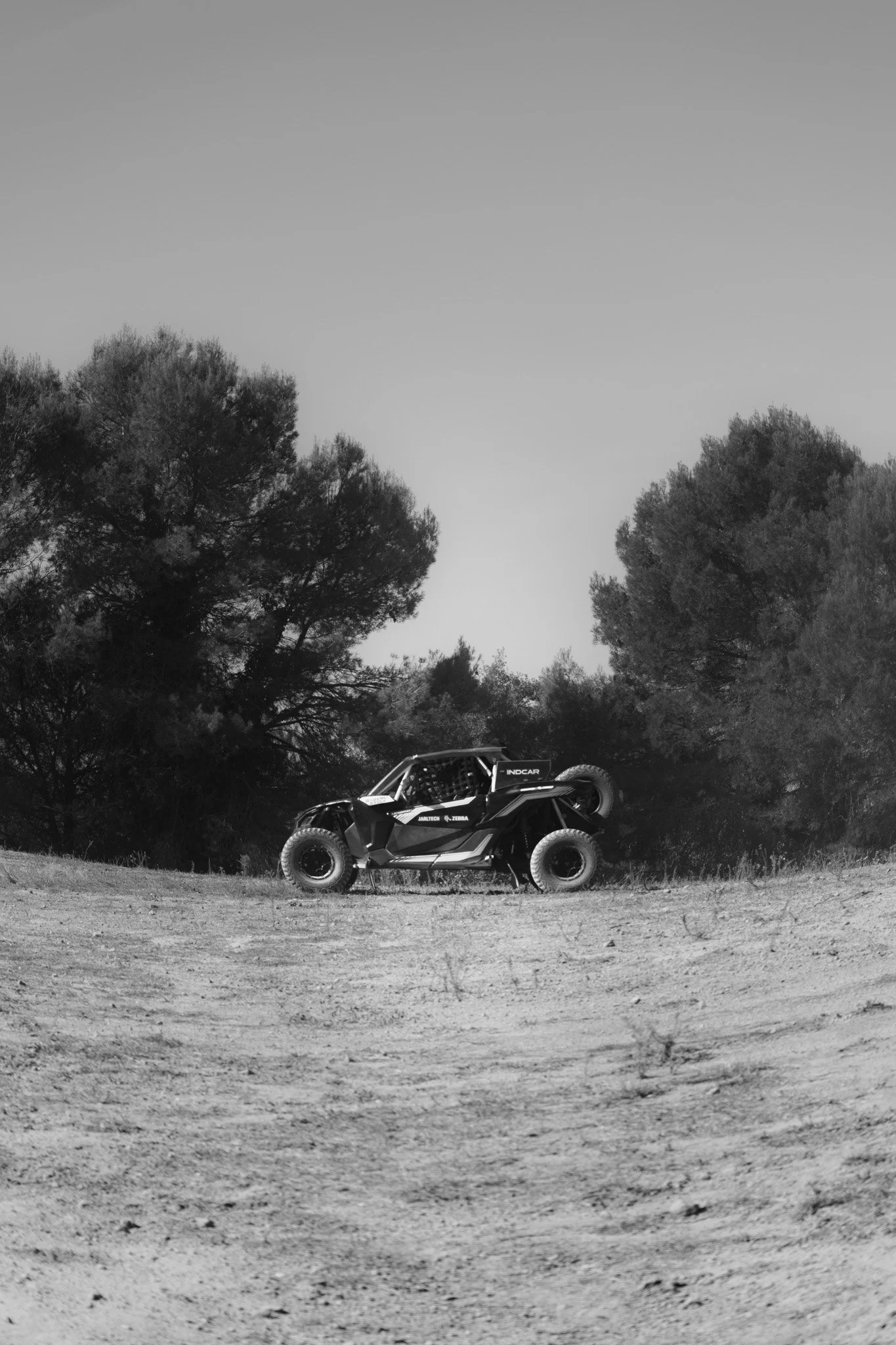 Nasser-63.jpg