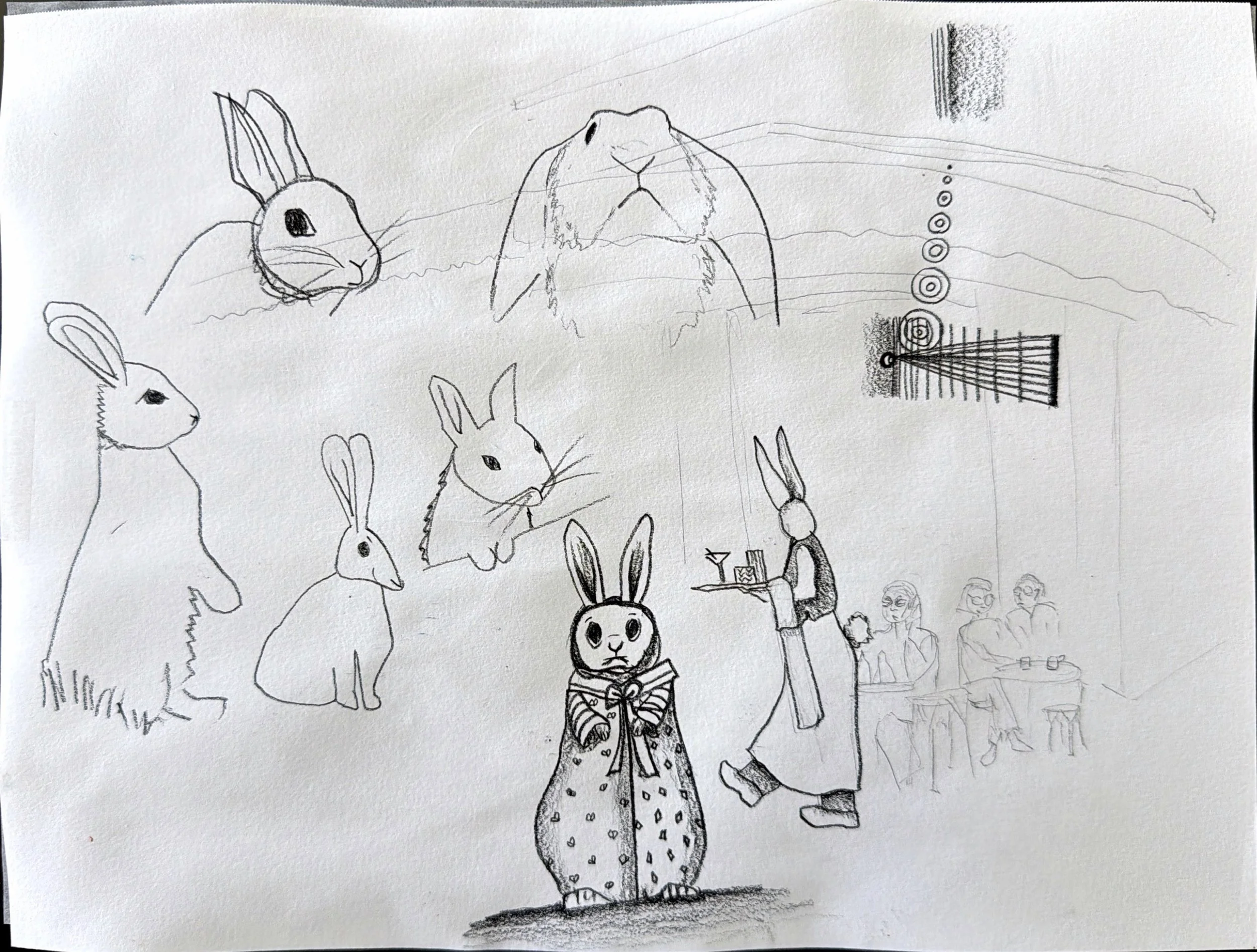 rabbits - photo not scan.jpg