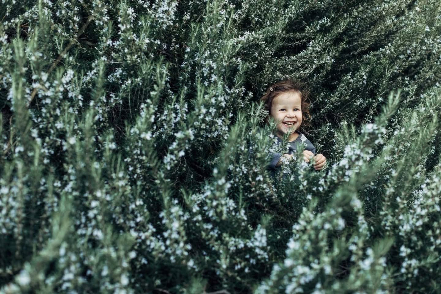 Due anni di distanza, lo stesso gioco di nascondino con mia figlia, lo stesso rosmarino 🌿

Lei &egrave; ancora l&igrave;, solo un po pi&ugrave; grande, i capelli pi&ugrave; lunghi, o il rosmarino si &egrave; rimpicciolito 😅