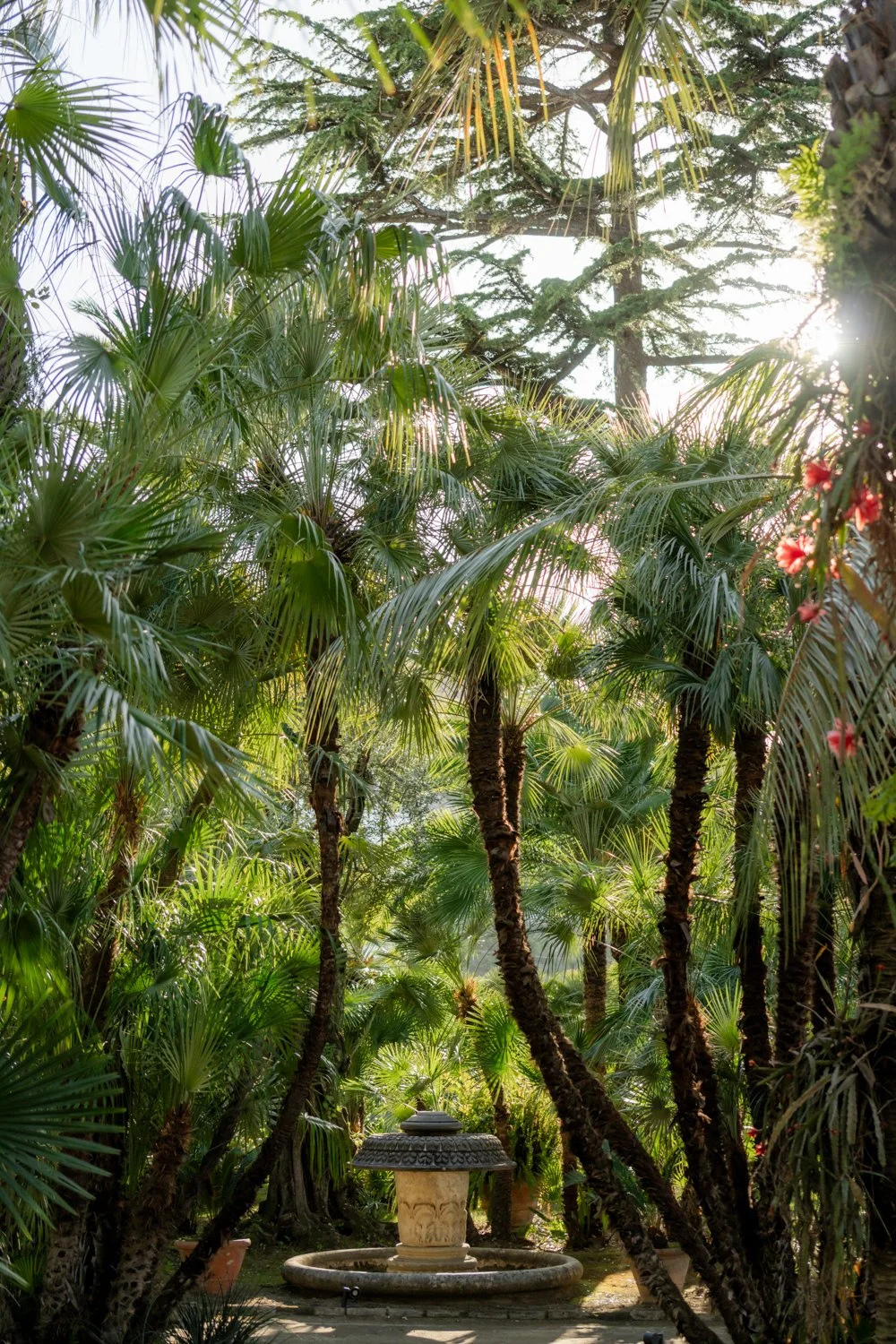 Villa Astor Wedding Photographer