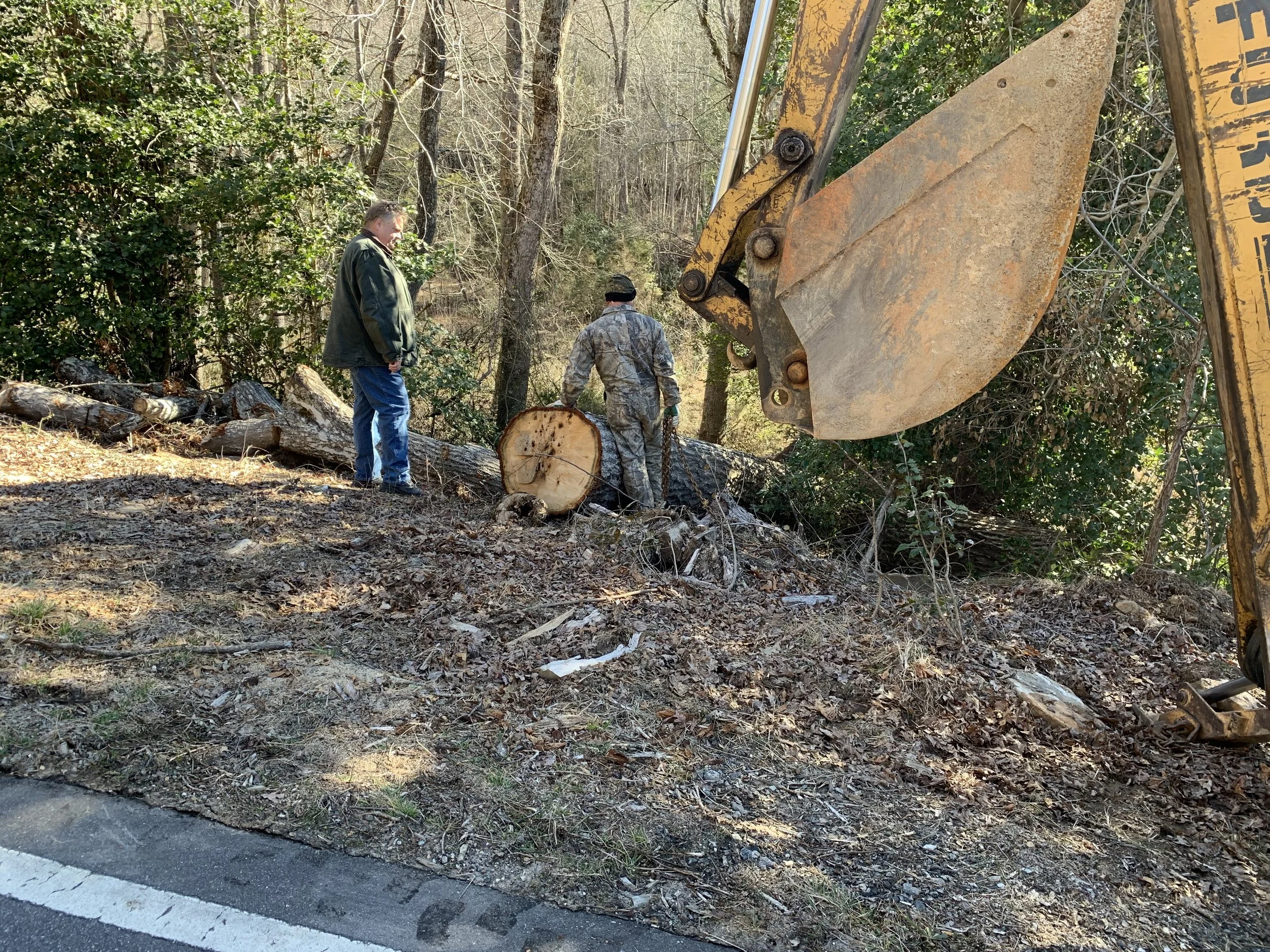 Red Oak being rescued from ditch - MJH Designs.jpeg