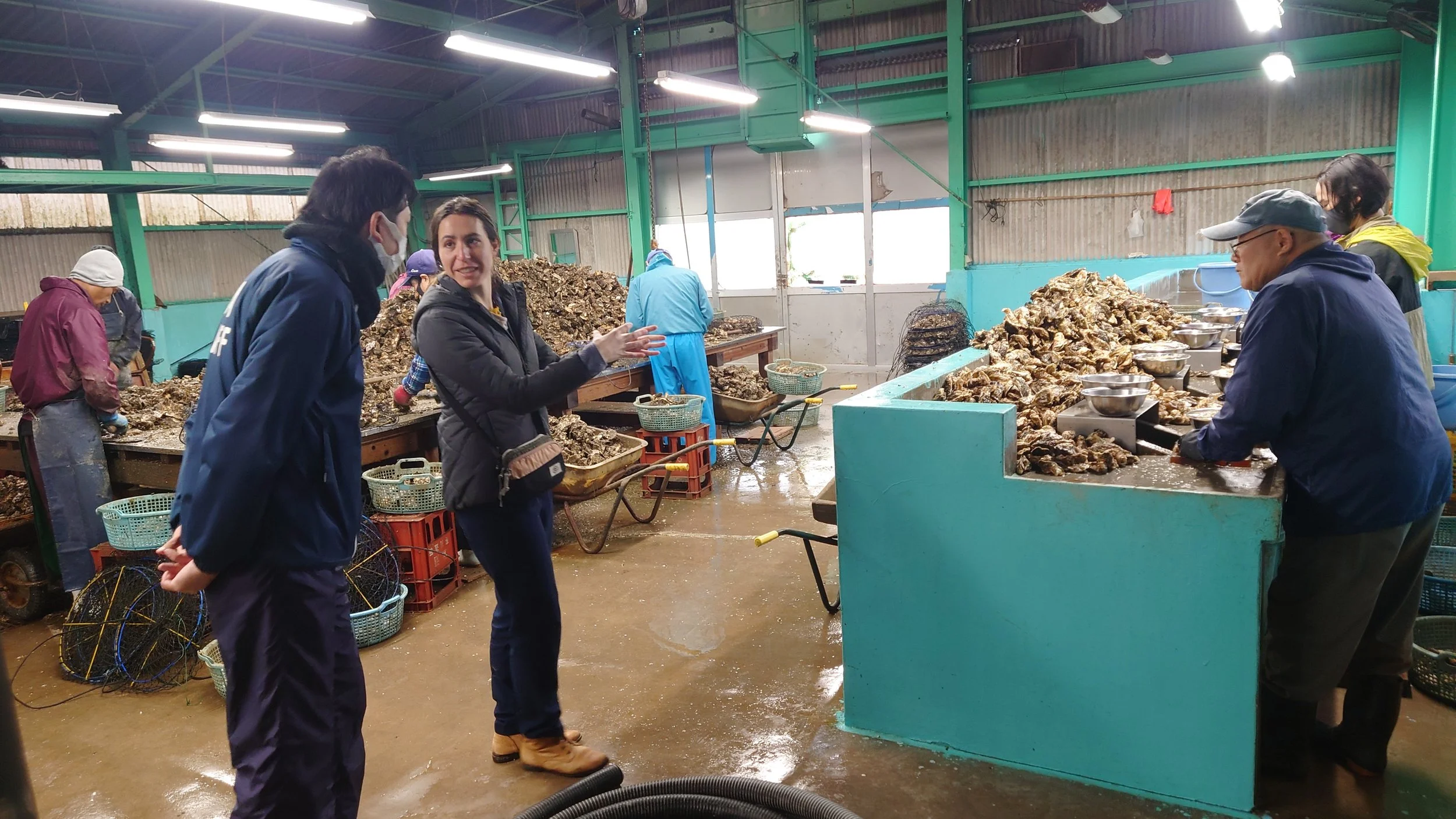 visit oyster prod 2.JPG