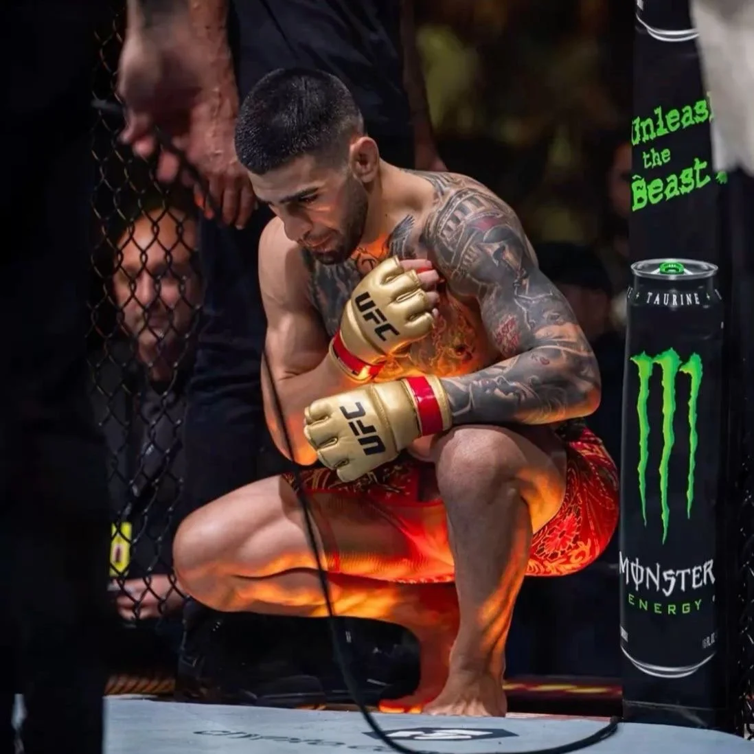 UFC 317: The Good, The Great, and the Unstoppable