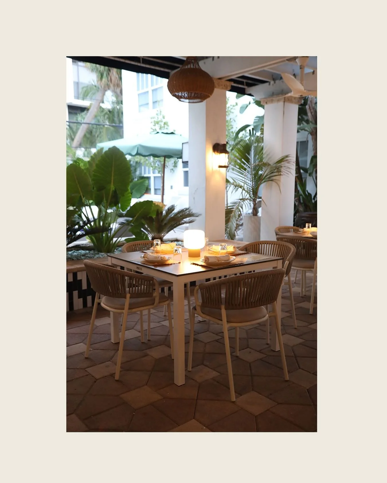 Terrace therapy @honeysoncollins