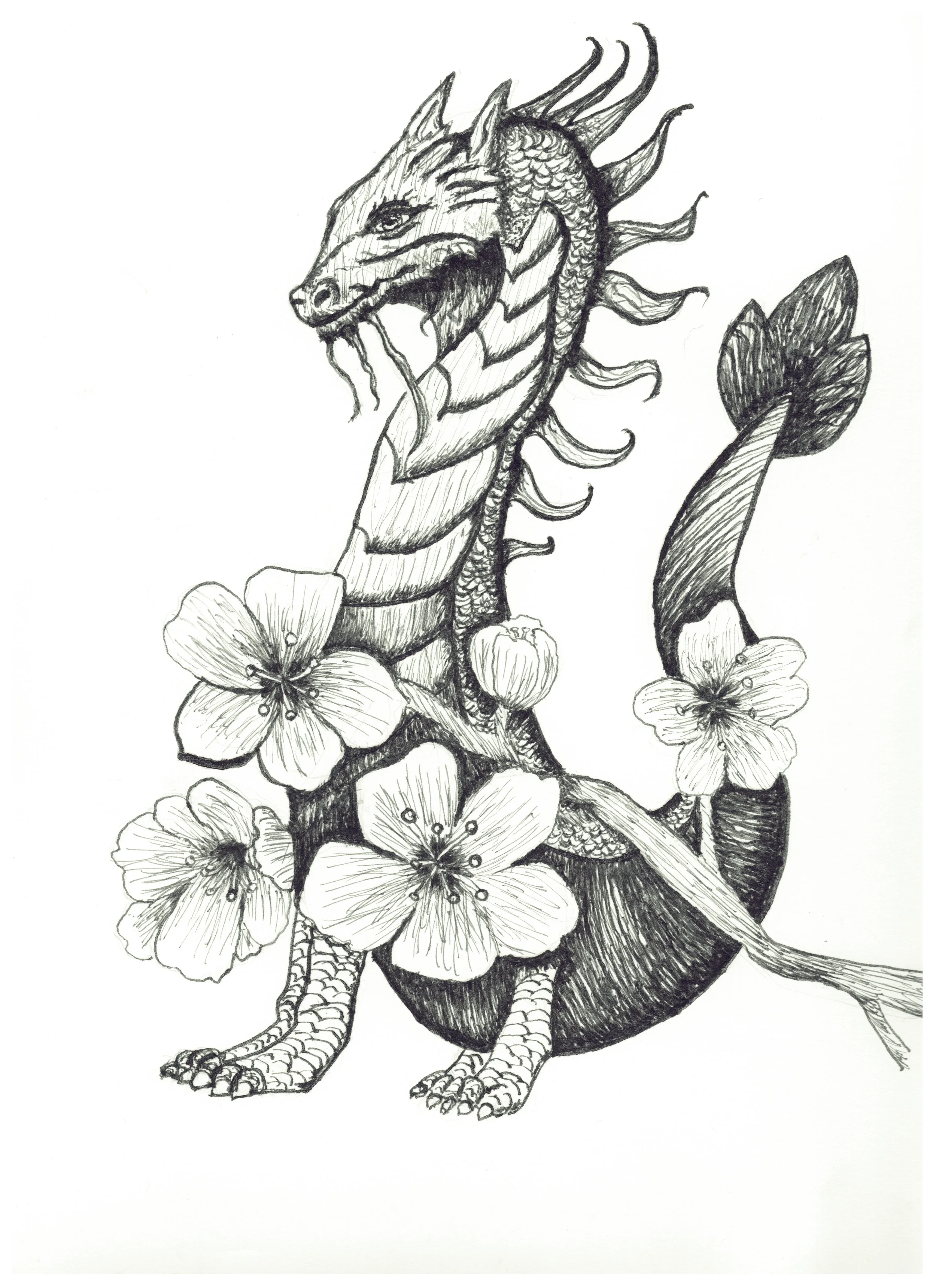 Ink Drawings