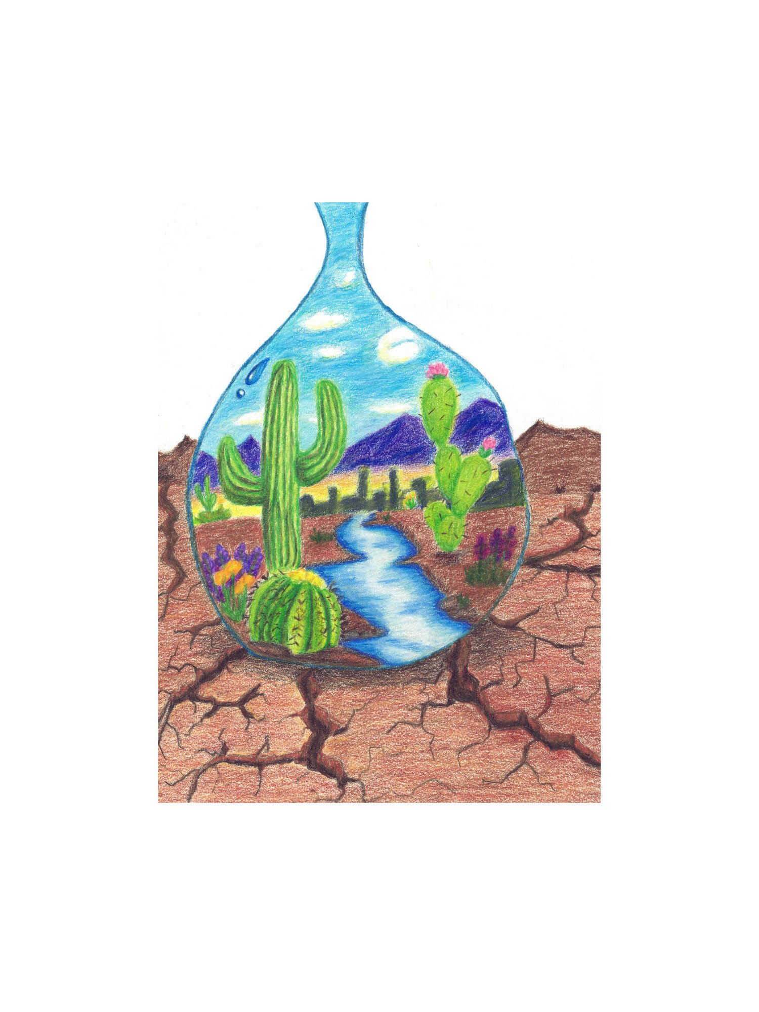 One Droplet colored pencil art by Kimberly Callahan - Calbria Studio