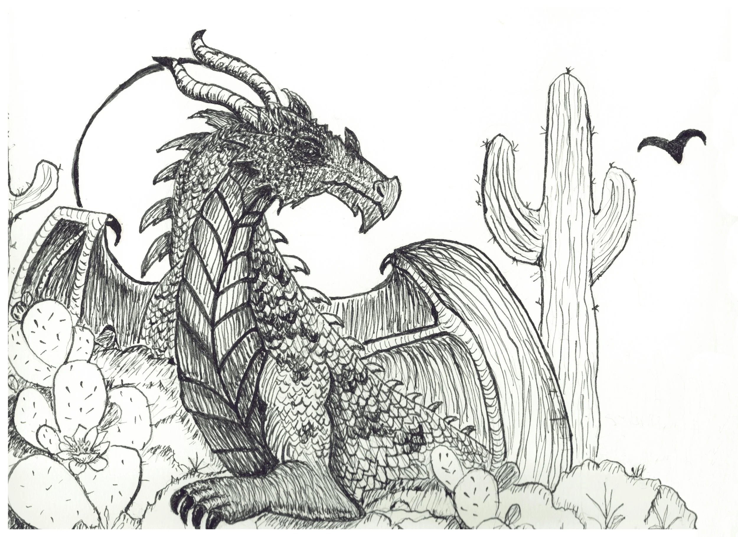 Ink Drawings