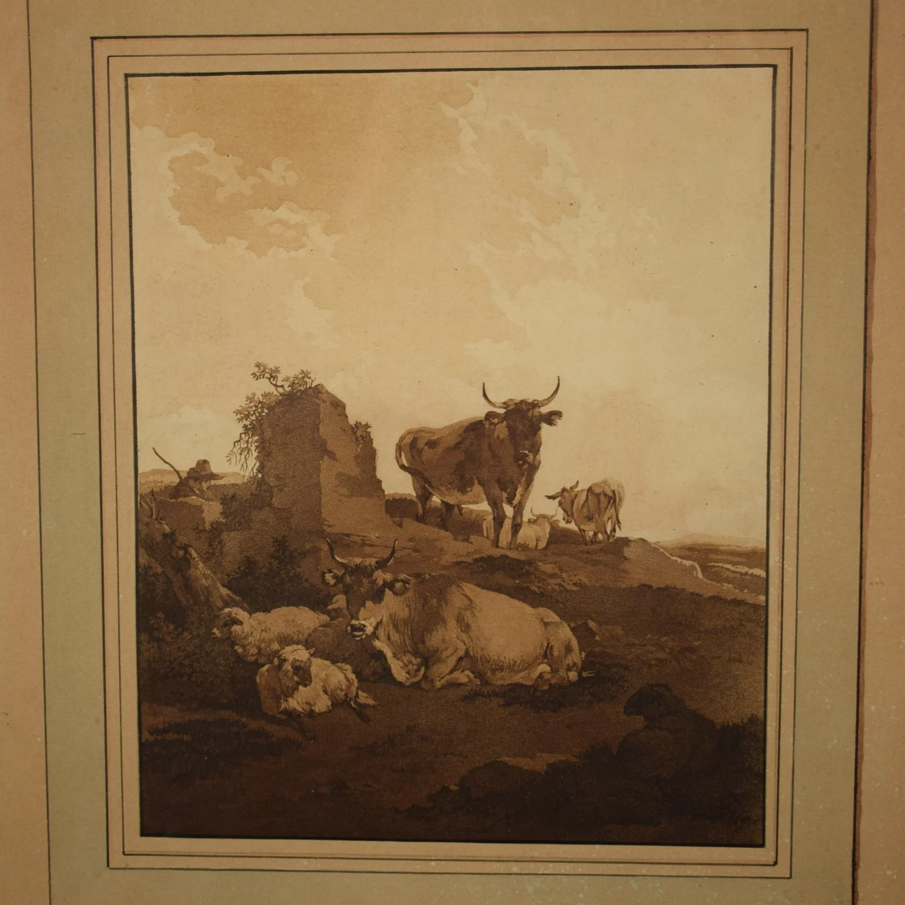 Vaches 3.jpg