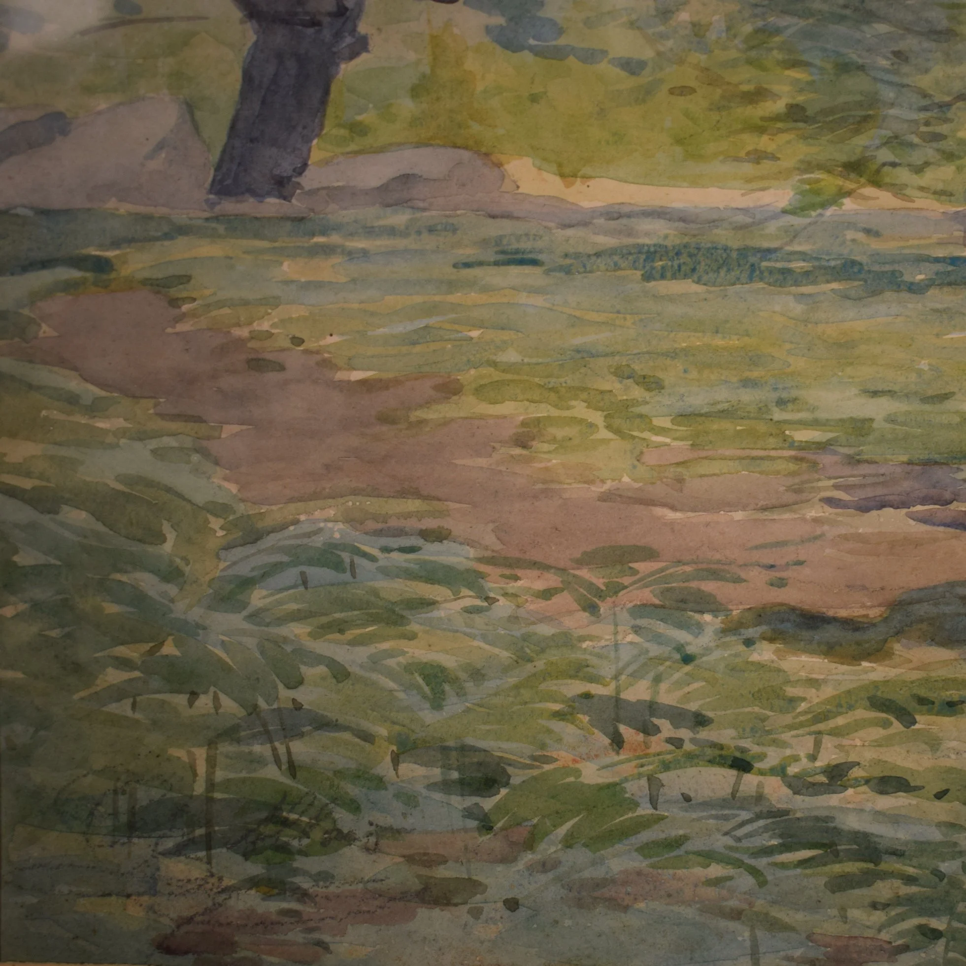 Aquarelle arbre 9.jpg