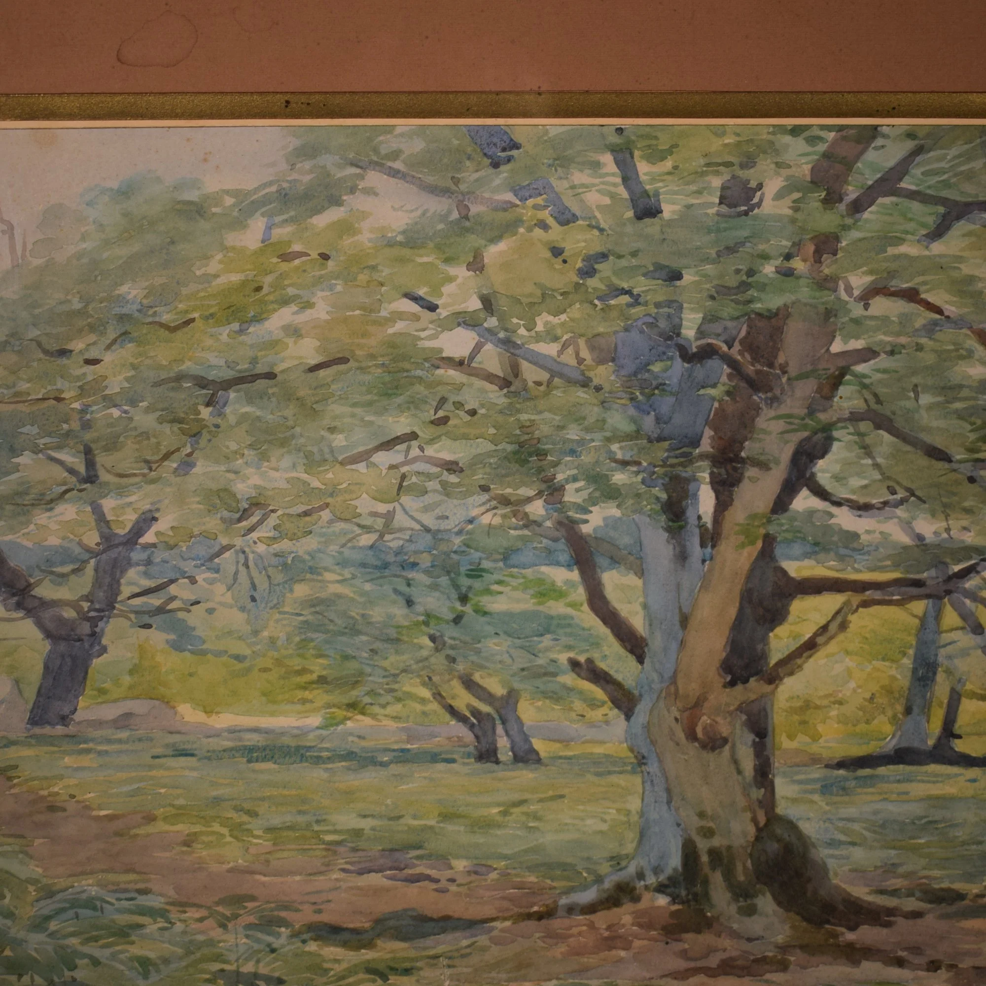 Aquarelle arbre 5.jpg