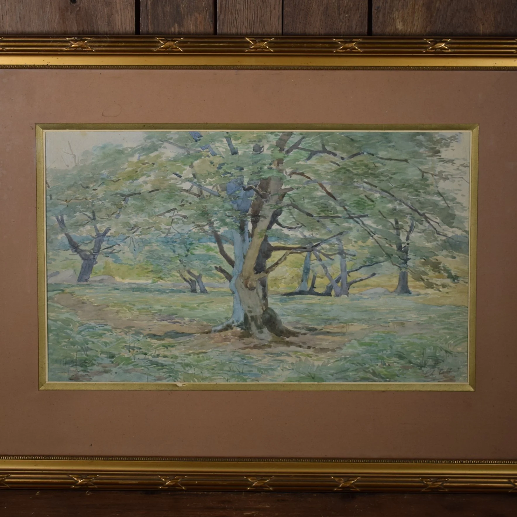 Aquarelle arbre 4.jpg