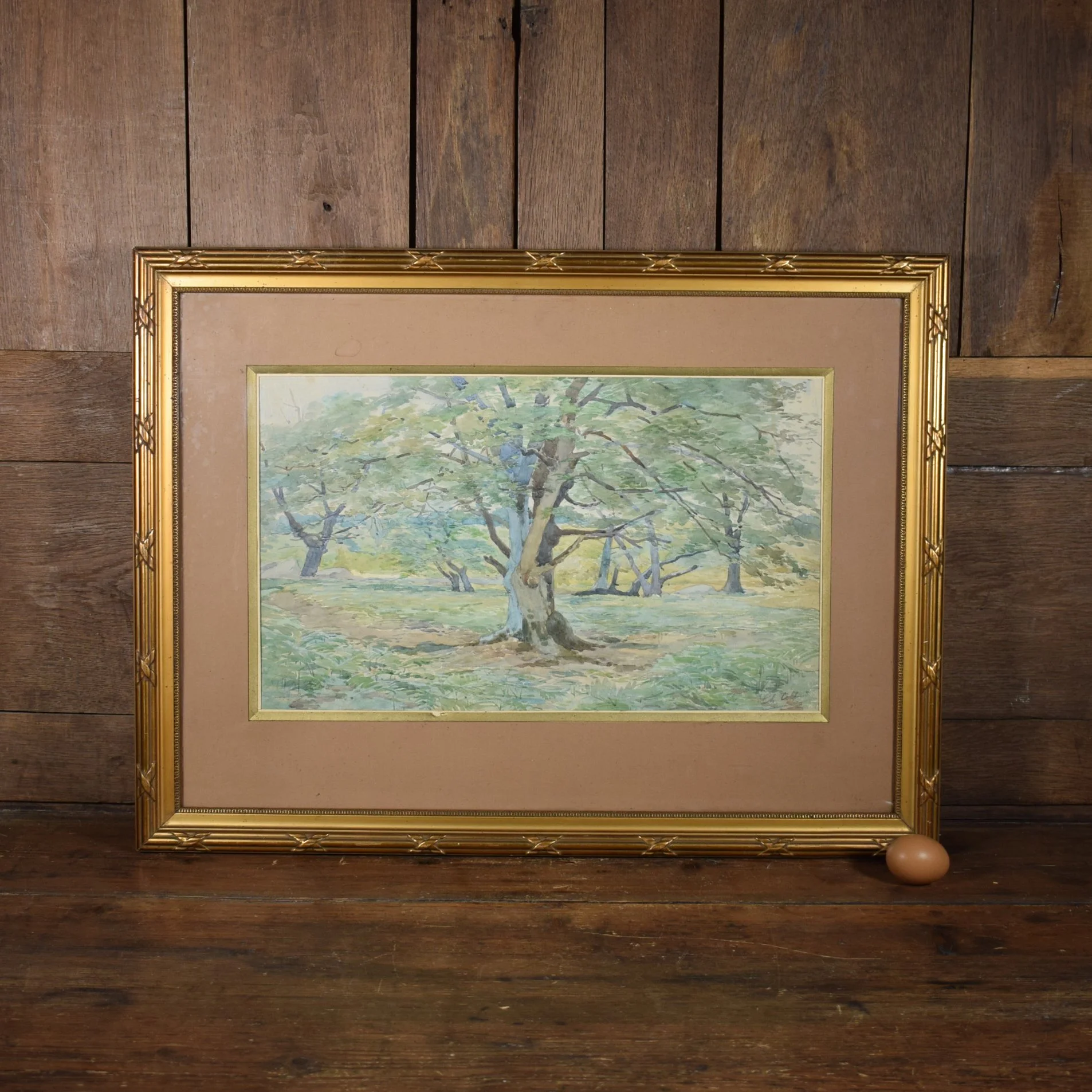 Aquarelle arbre 2.jpg