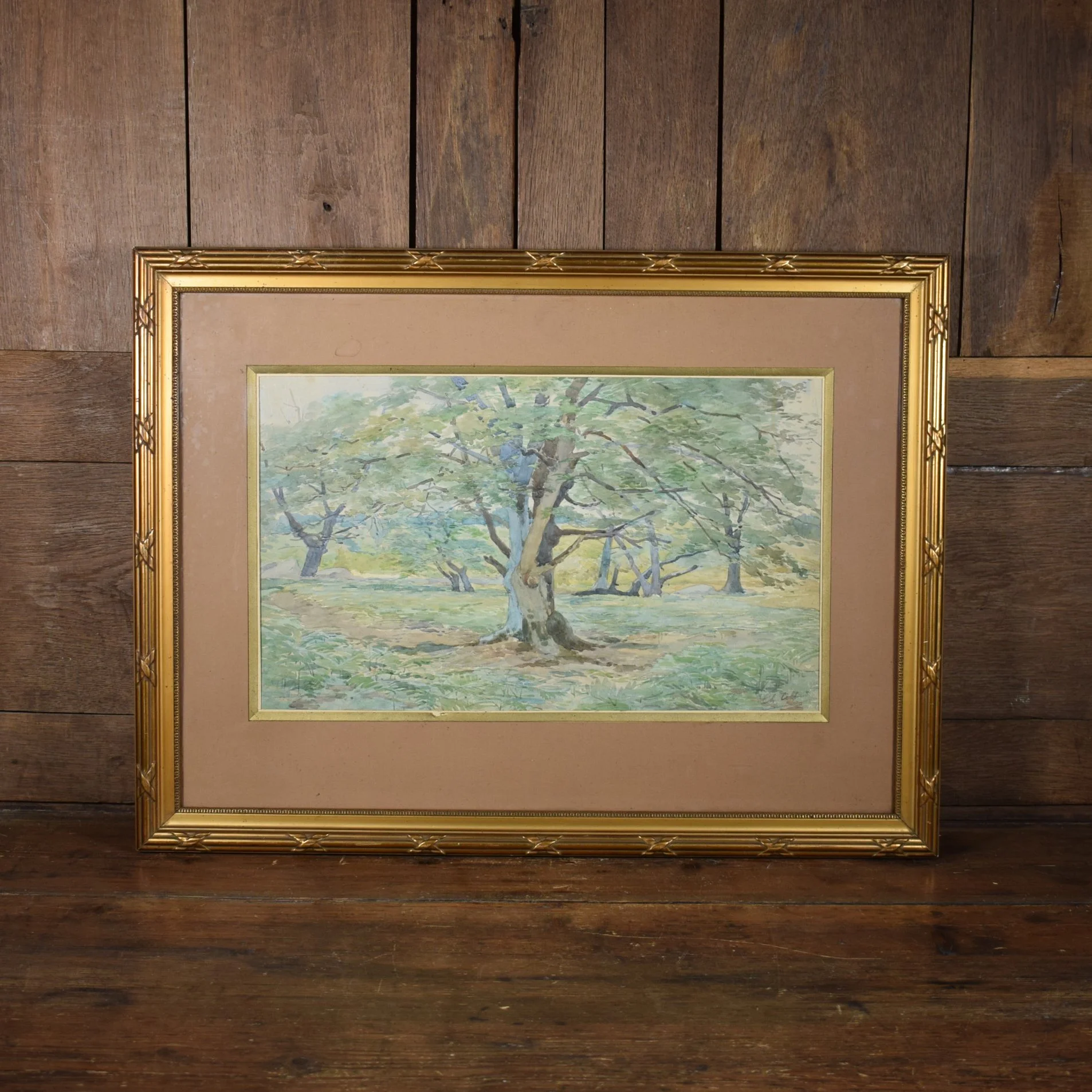 Aquarelle arbre 1.jpg