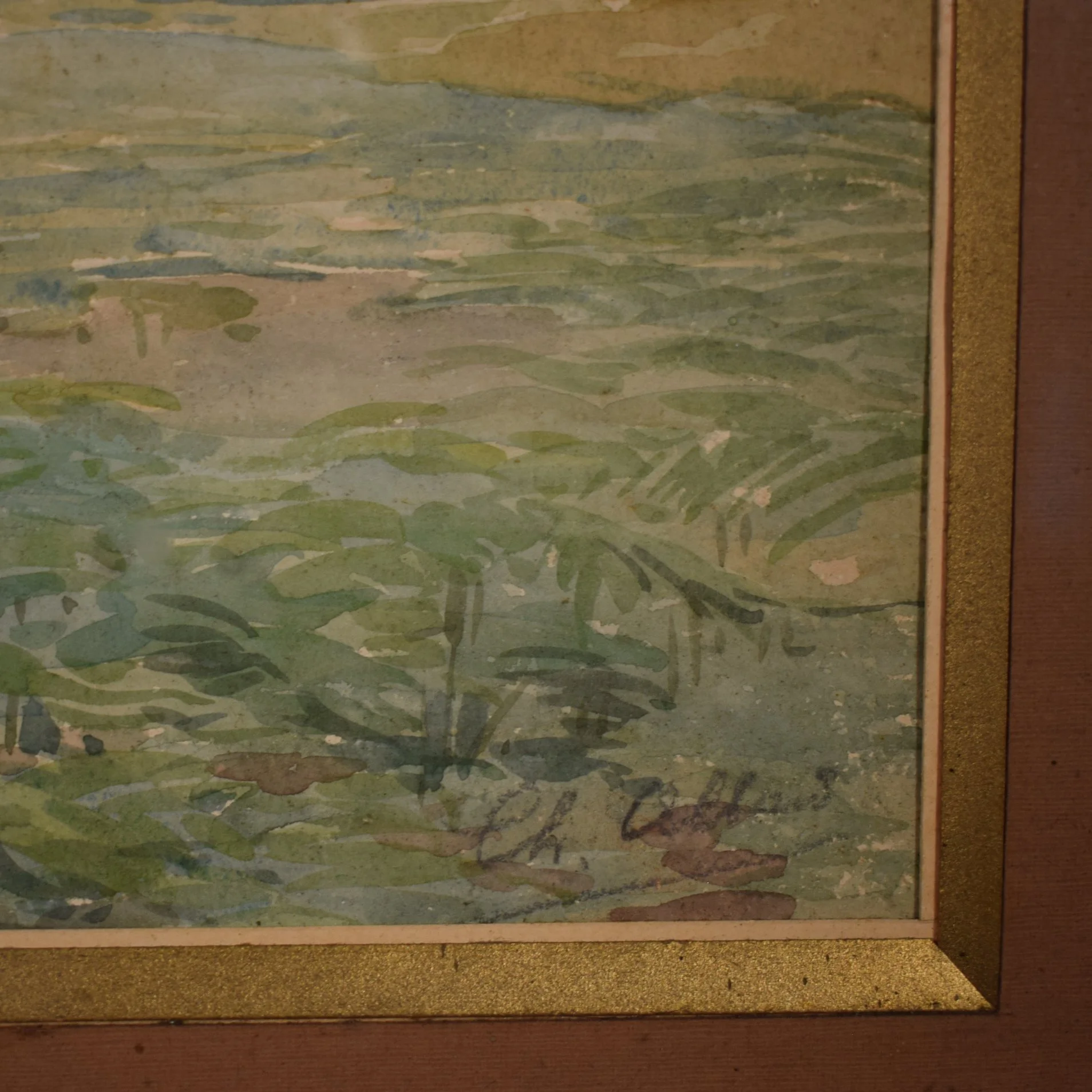 Aquarelle arbre 6.jpg
