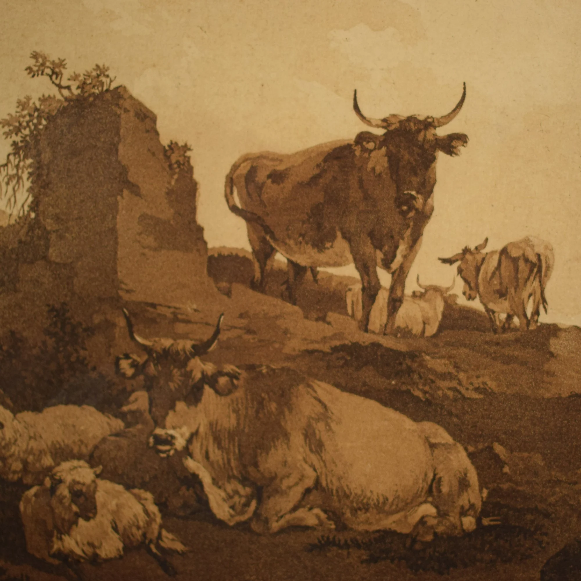 Vaches 4.jpg
