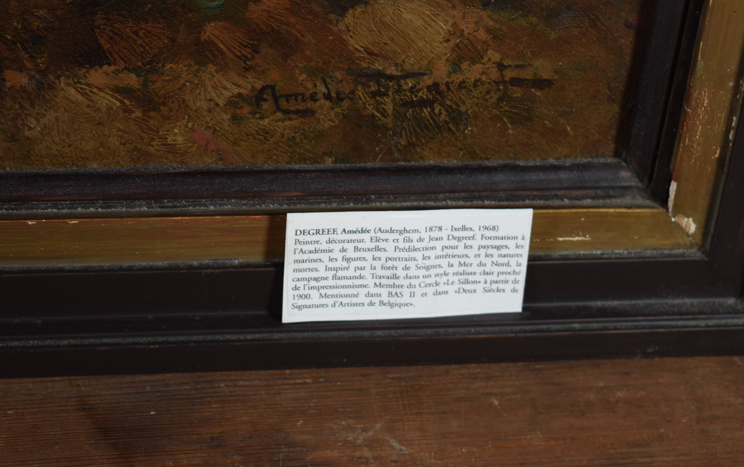 DEGREEF Amédée 9.jpg