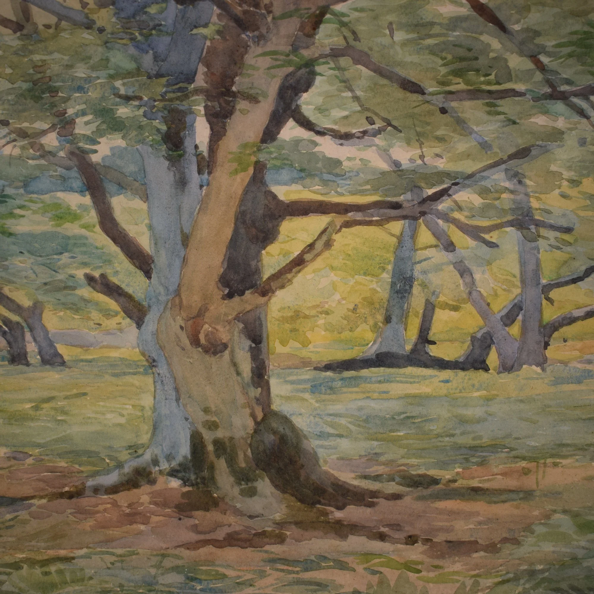 Aquarelle arbre 7.jpg