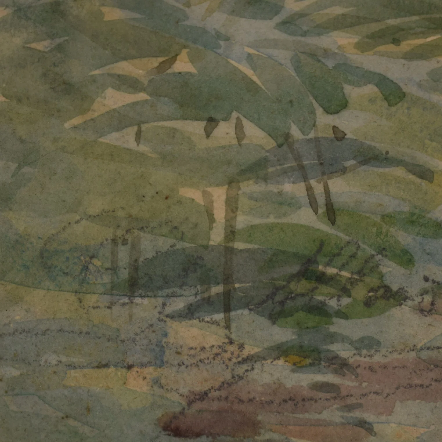 Aquarelle arbre 8.jpg