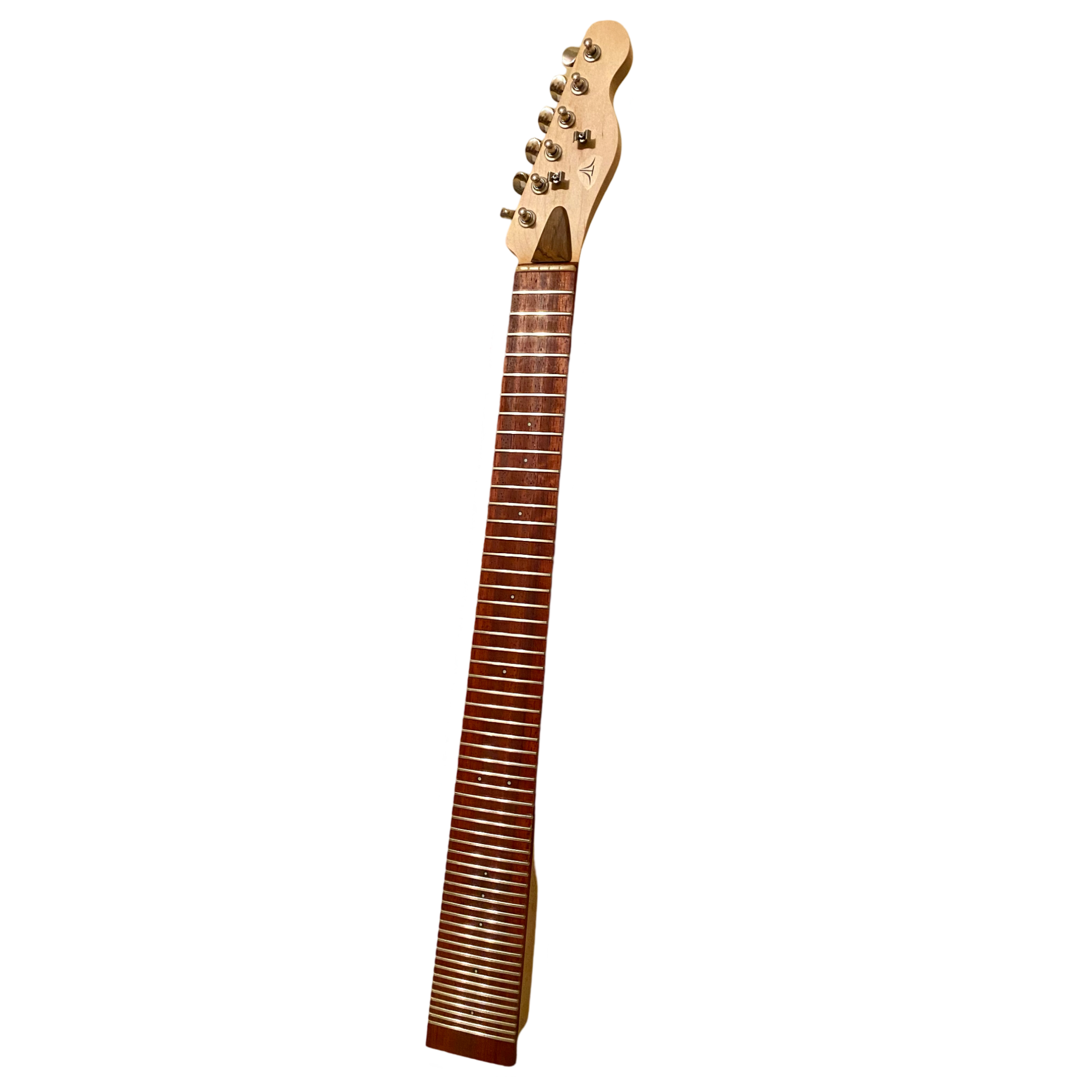 Guitar Neck Canvas 3.png
