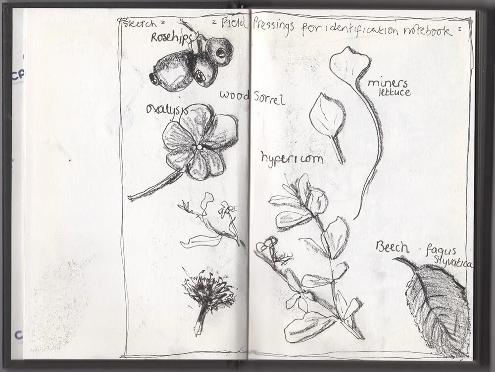 Herber Sketchbook (Copy)
