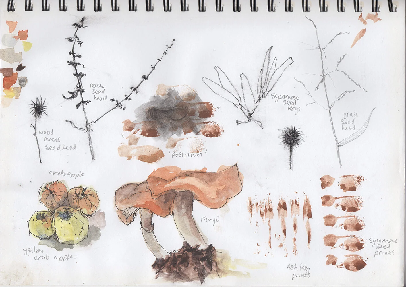Herber Sketchbook (Copy)