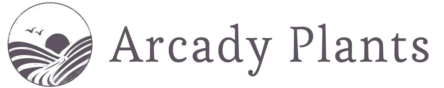 Arcady Plants