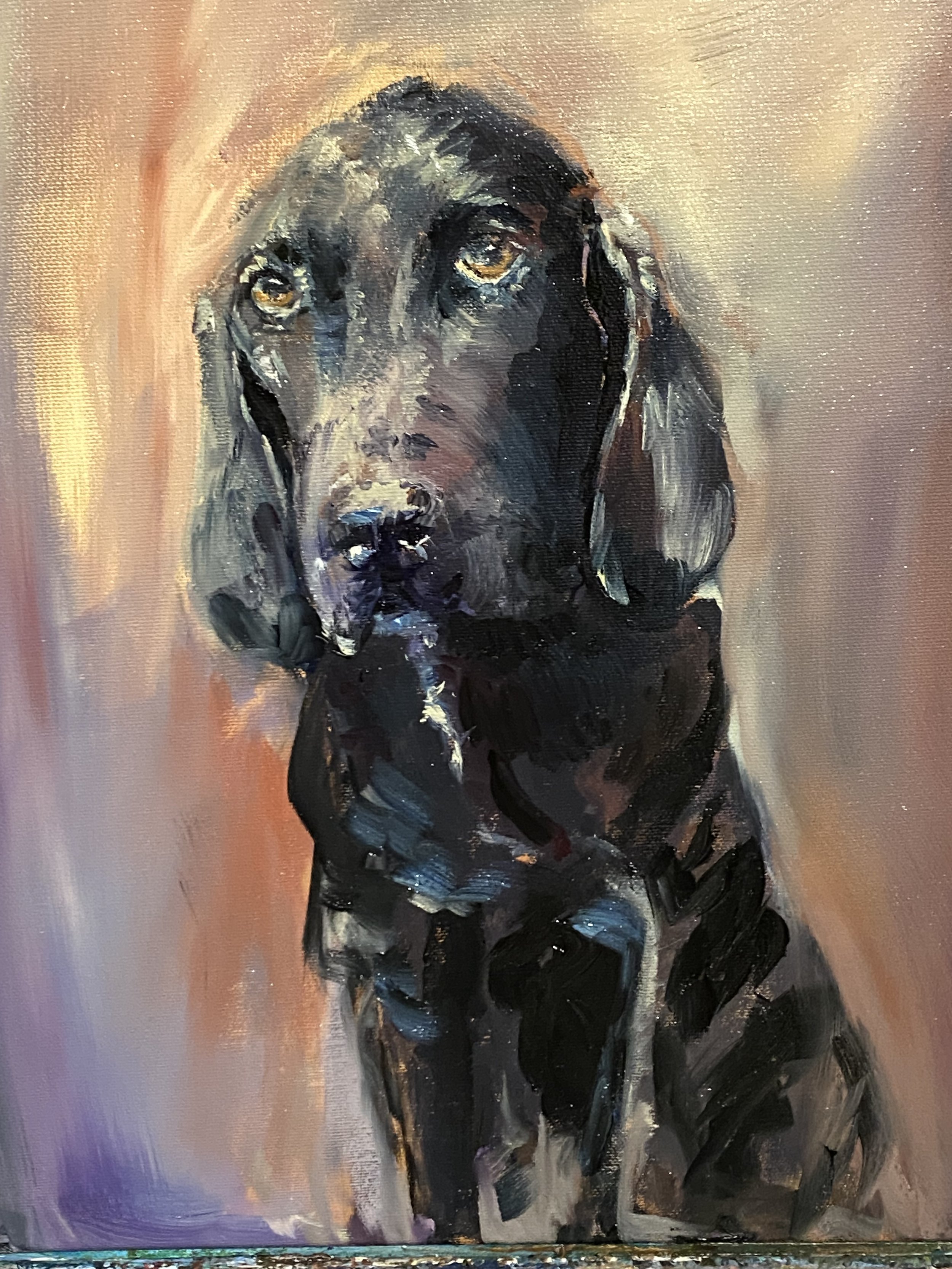 „Balthasar“ (verkauft)