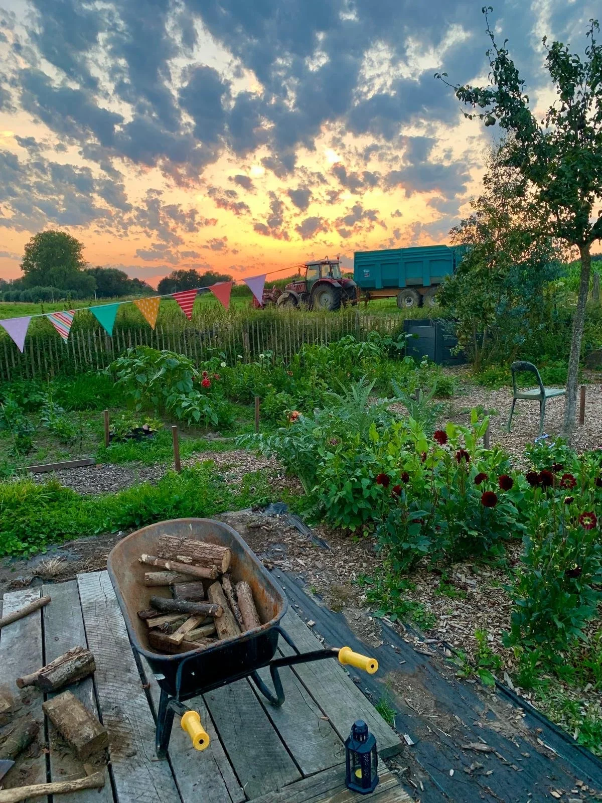 Schuur 13_weide_zonsondergang.jpg