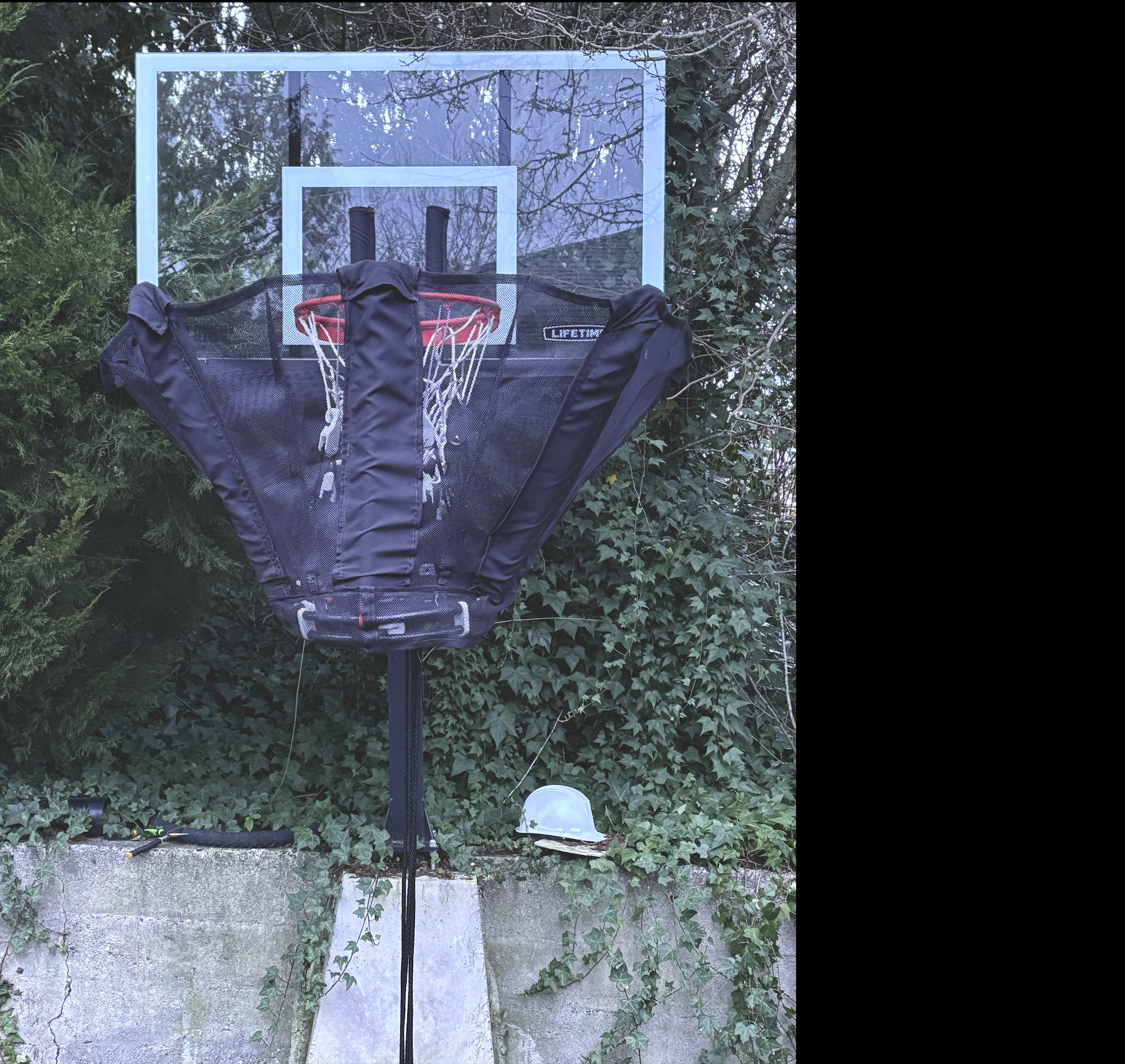 Fly Swatter Training