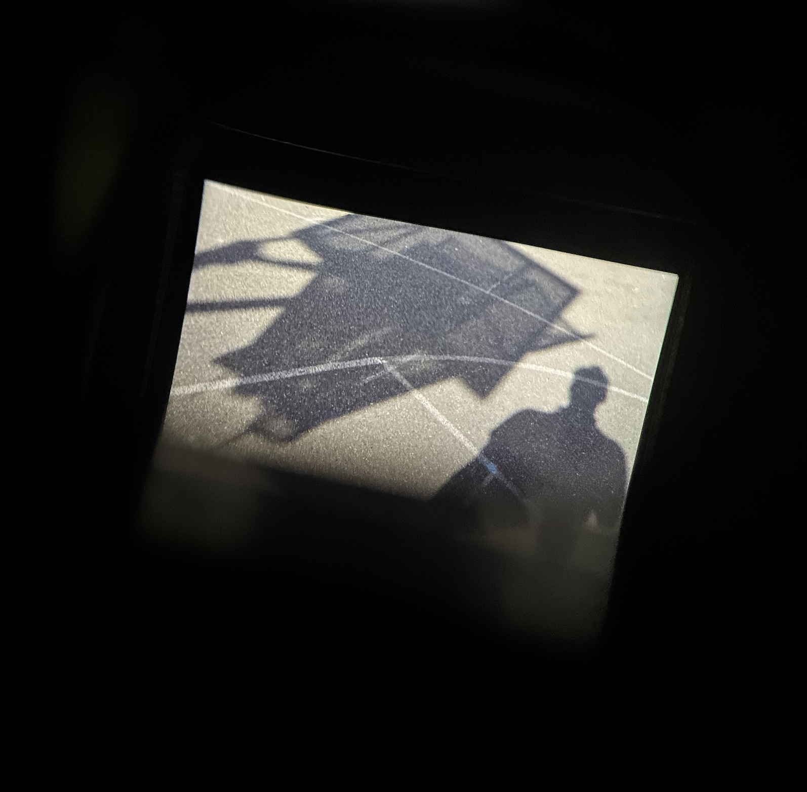 Standard with 1/2 Extended Net