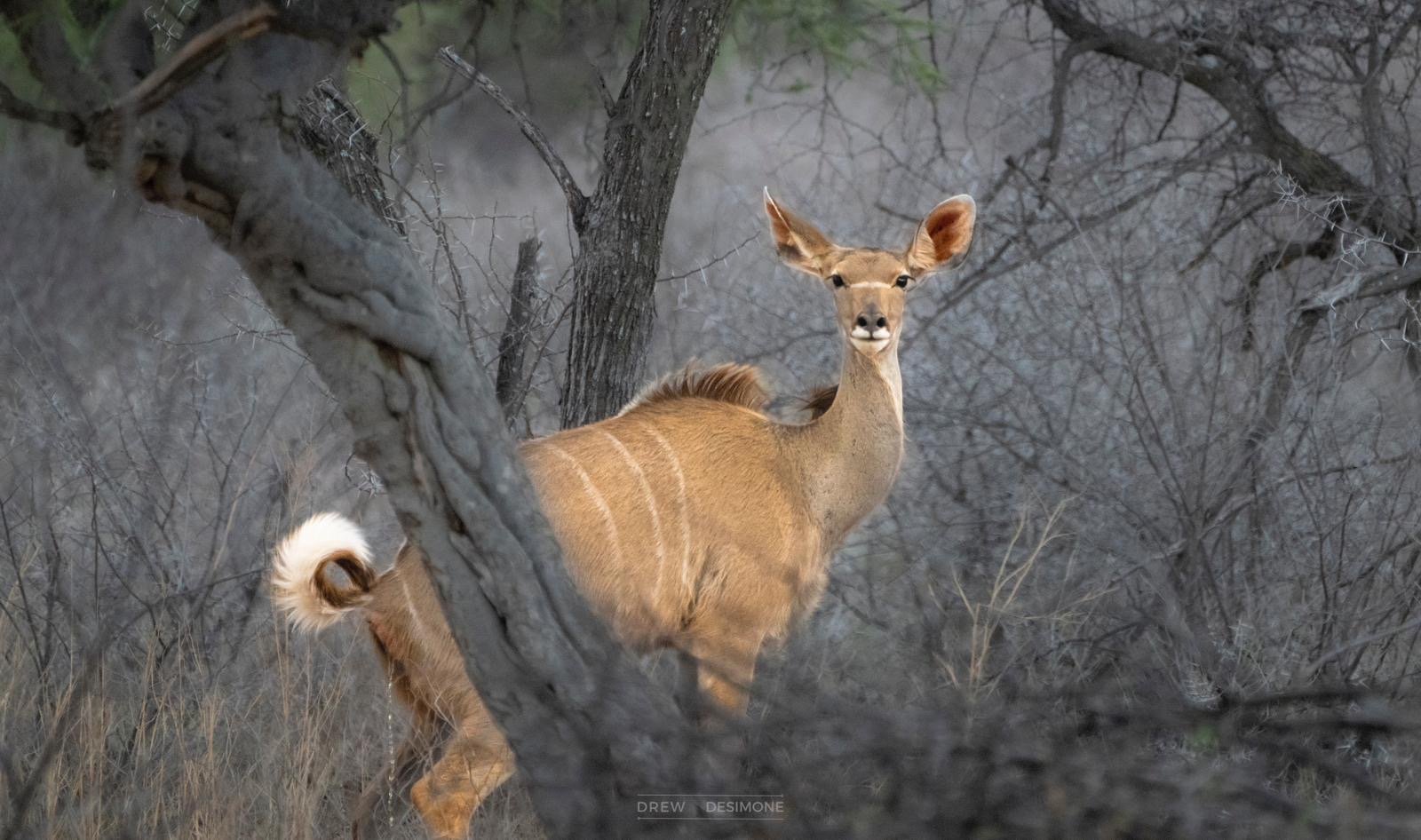 0391733c-e96c-4f8d-8f31-88b69d6e43d6 2.JPG