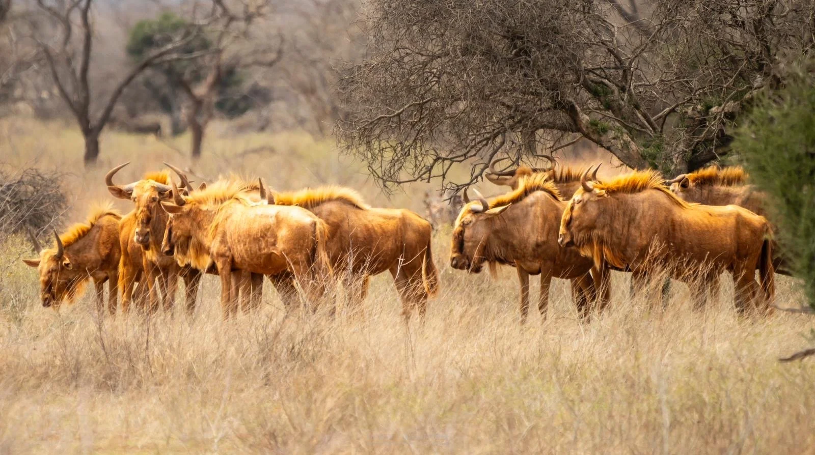 5f14fc11-f19d-4655-bc44-a9ea520e5f2c 2.JPG