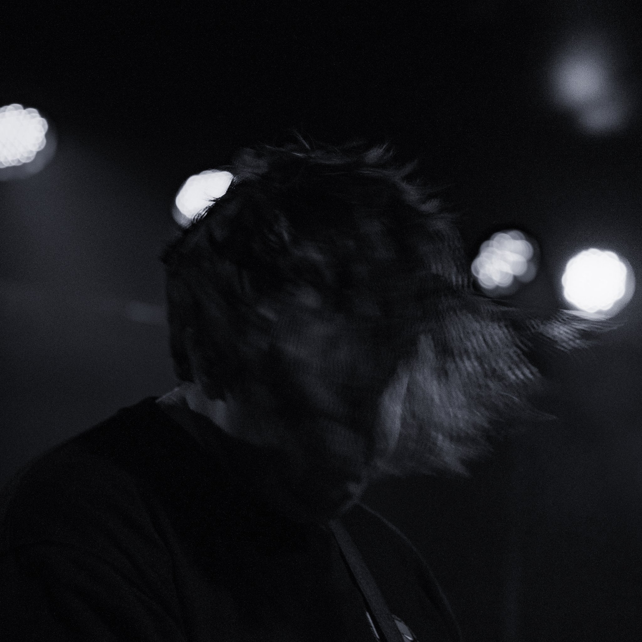 Misplaced-094.jpg