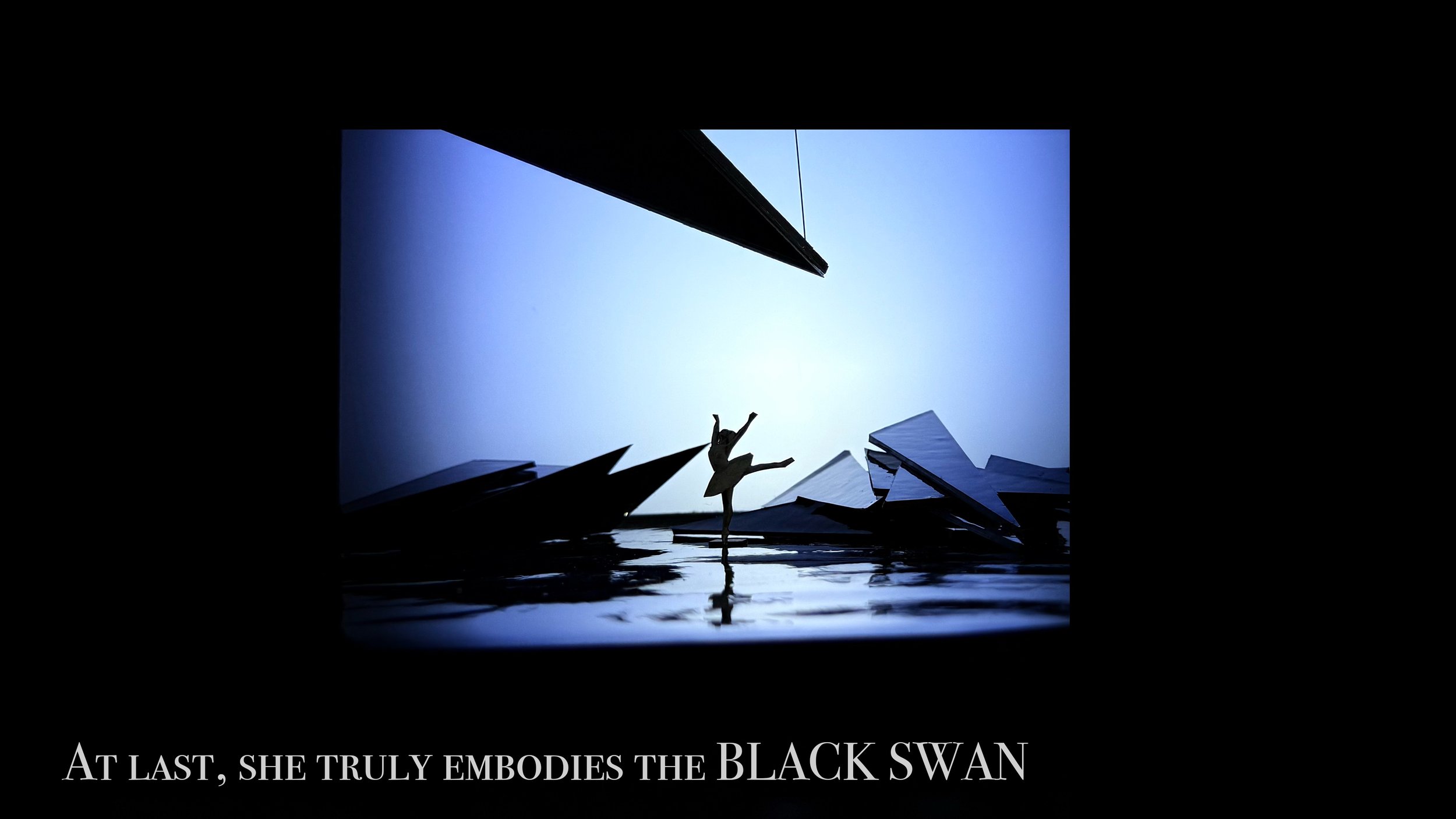 blackswan.jpeg