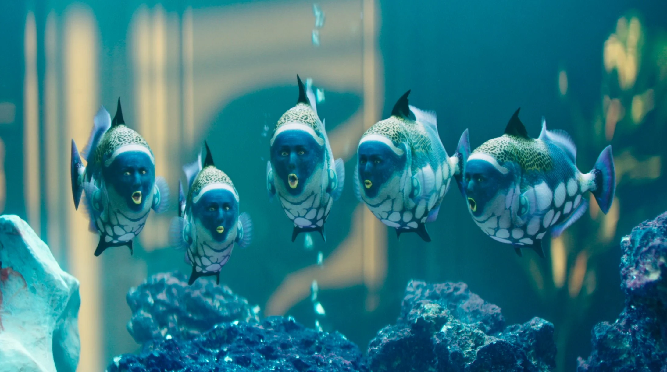 fish.jpg