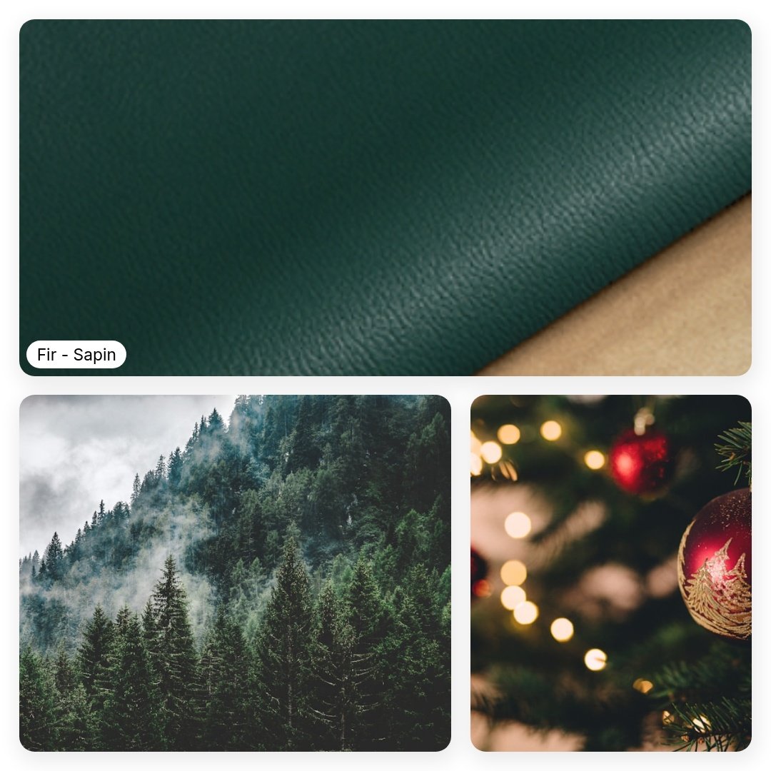 A_brief_summary_of_a_goatskin-square-7.jpeg