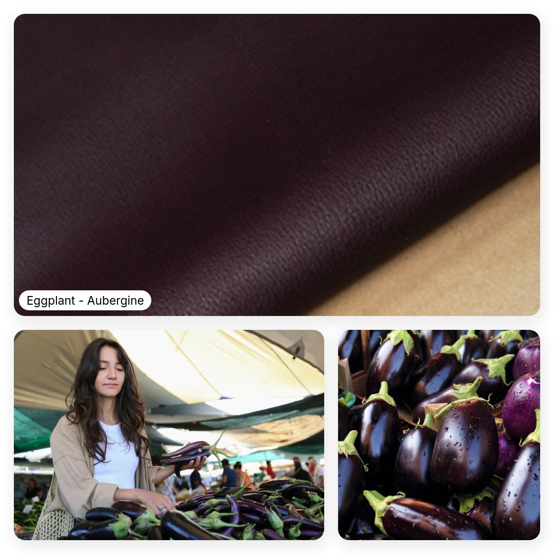 Aubergine - Eggplant