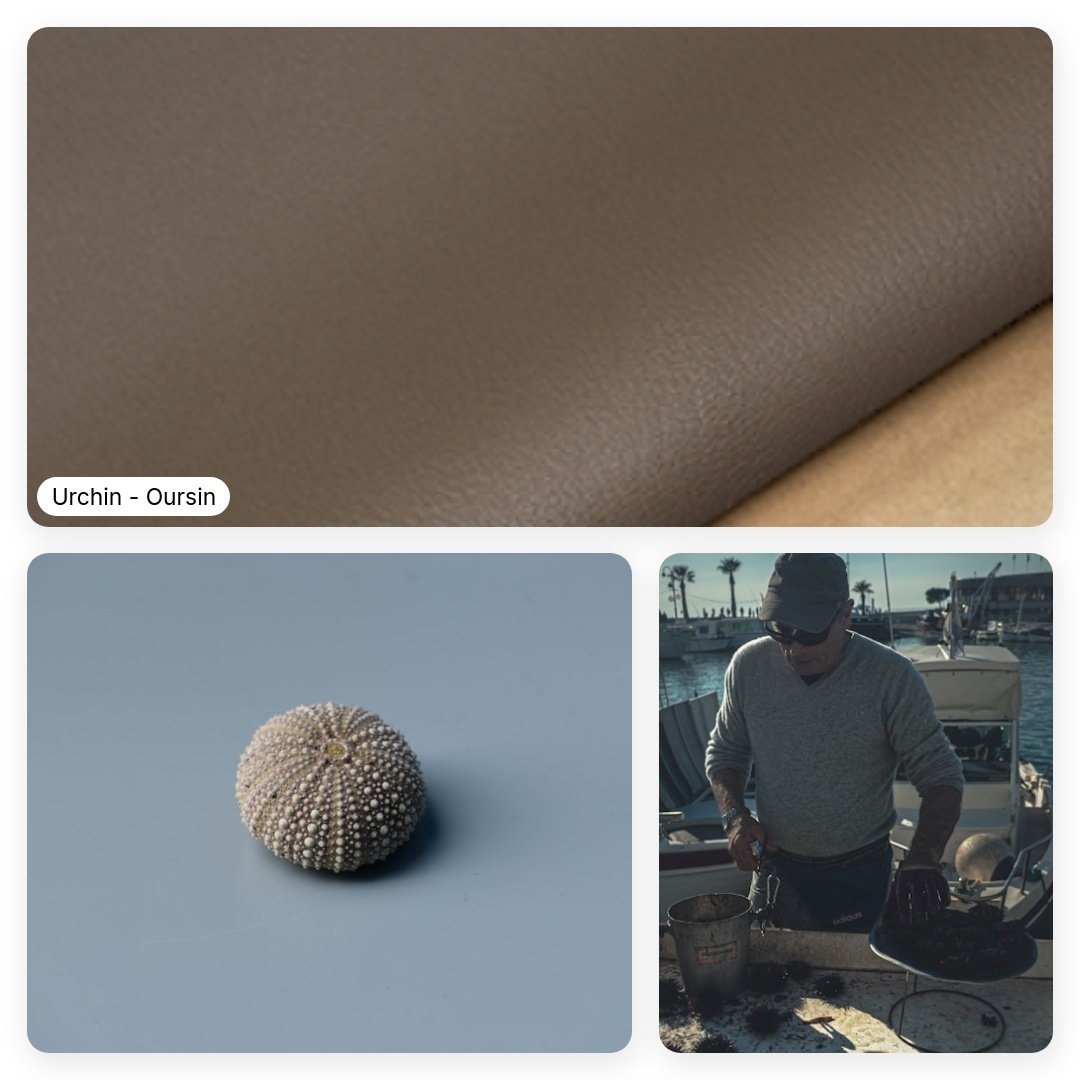 A_brief_summary_of_a_goatskin-square-22.jpeg