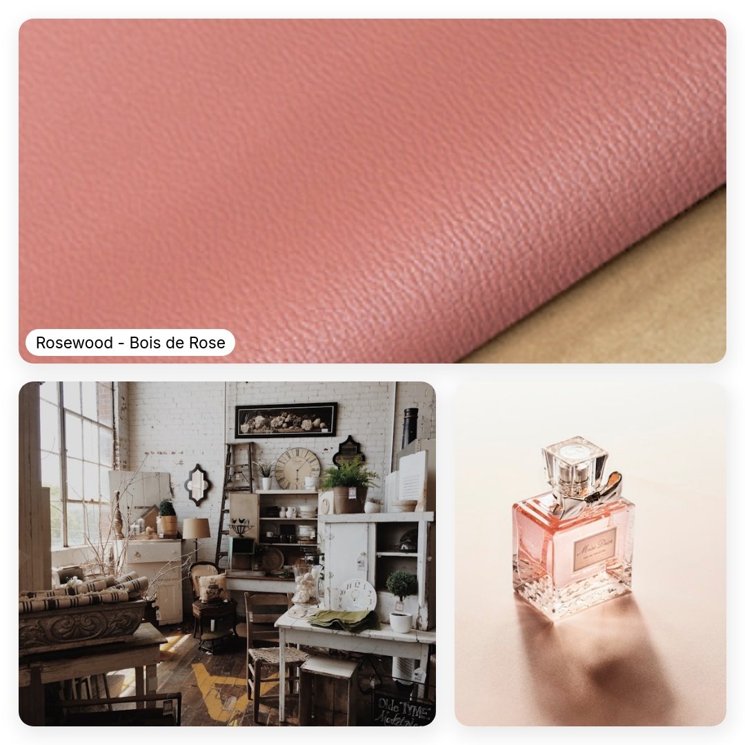 A_brief_summary_of_a_goatskin-square-63.jpeg