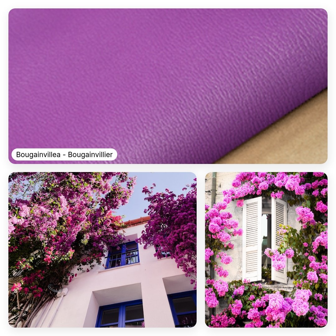 A_brief_summary_of_a_goatskin-square-58.jpeg
