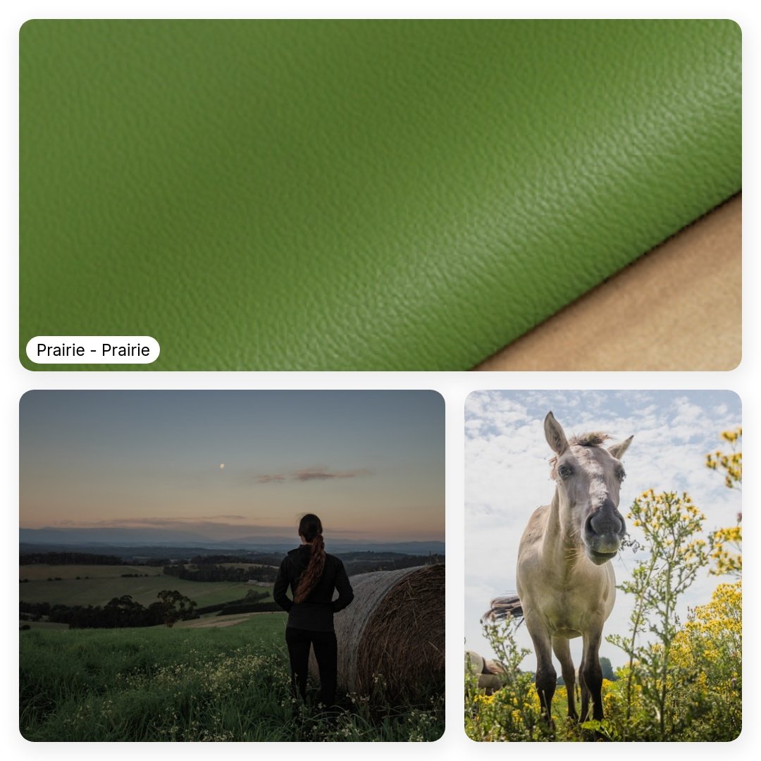A_brief_summary_of_a_goatskin-square-9.jpeg