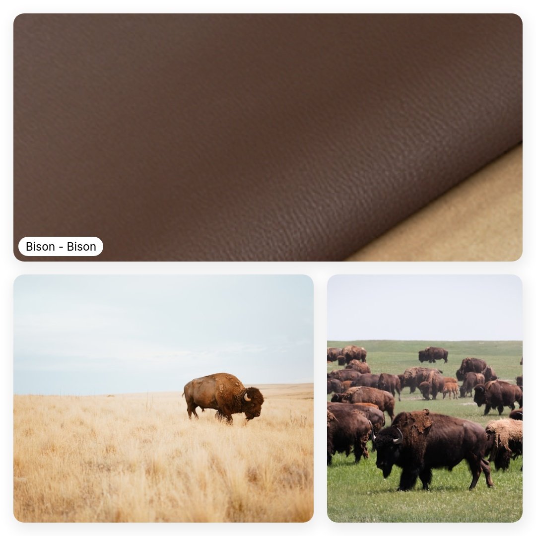 A_brief_summary_of_a_goatskin-square-64.jpeg