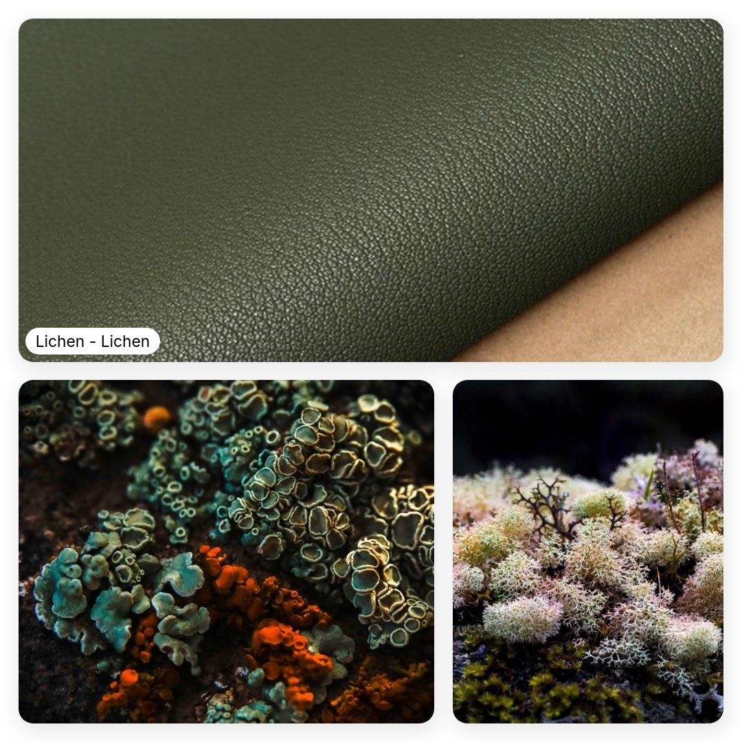 A_brief_summary_of_a_goatskin-square-74.jpeg
