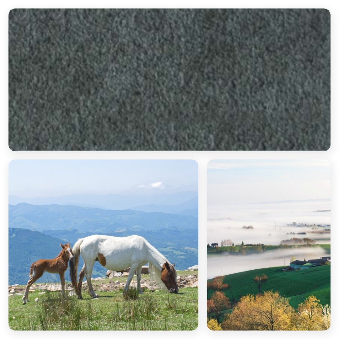 Grey Pine (6676)