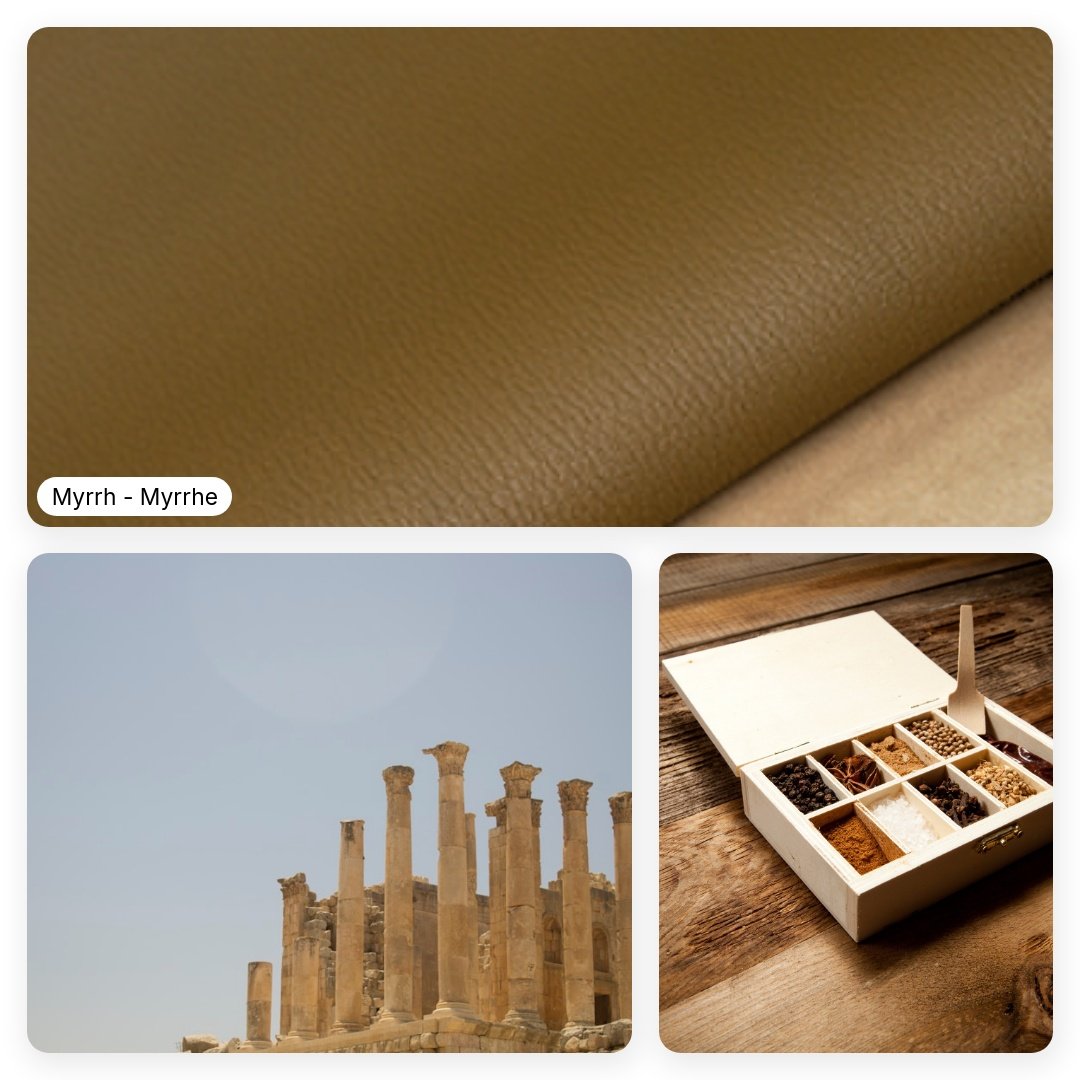 A_brief_summary_of_a_goatskin-square-24.jpeg